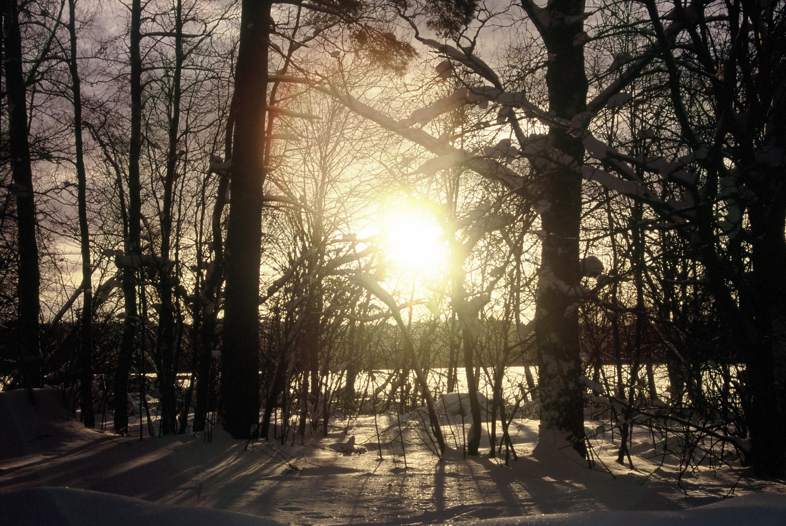 Film. Ruslan UI Dev Page