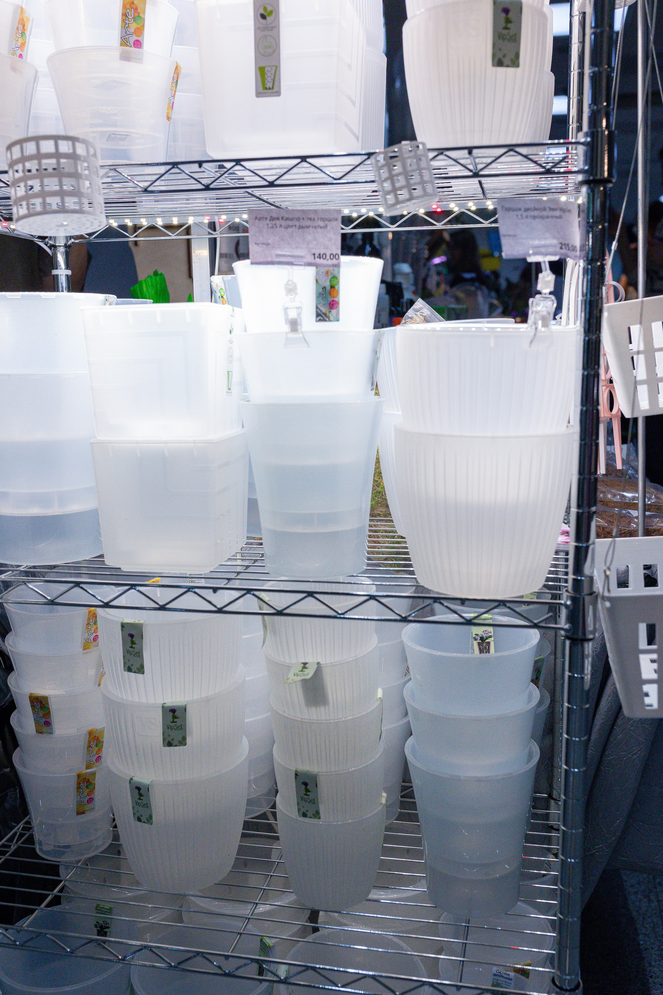 Орхидиум 12.2025. Александра Куликова фотограф, Москва