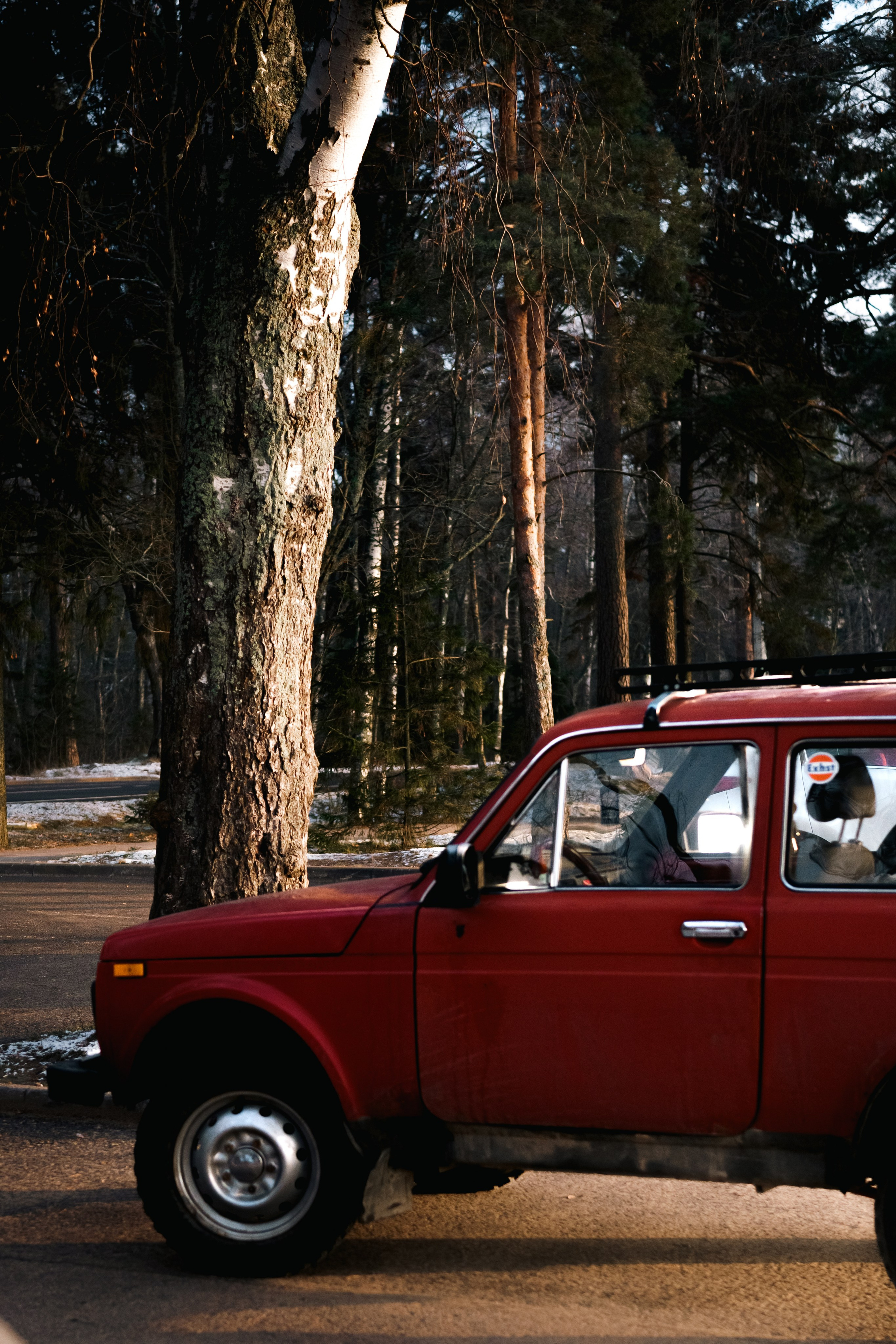 Финский Залив. Портретный и репортажный фотограф в Санкт-Петербурге Смоляков Максим