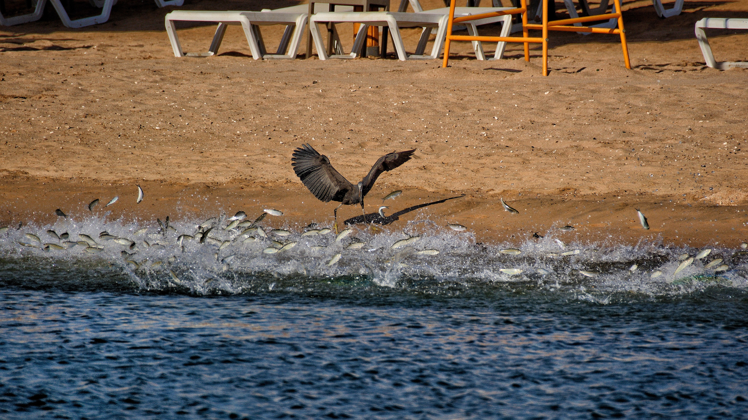 Фотограф Ваших событий 📸