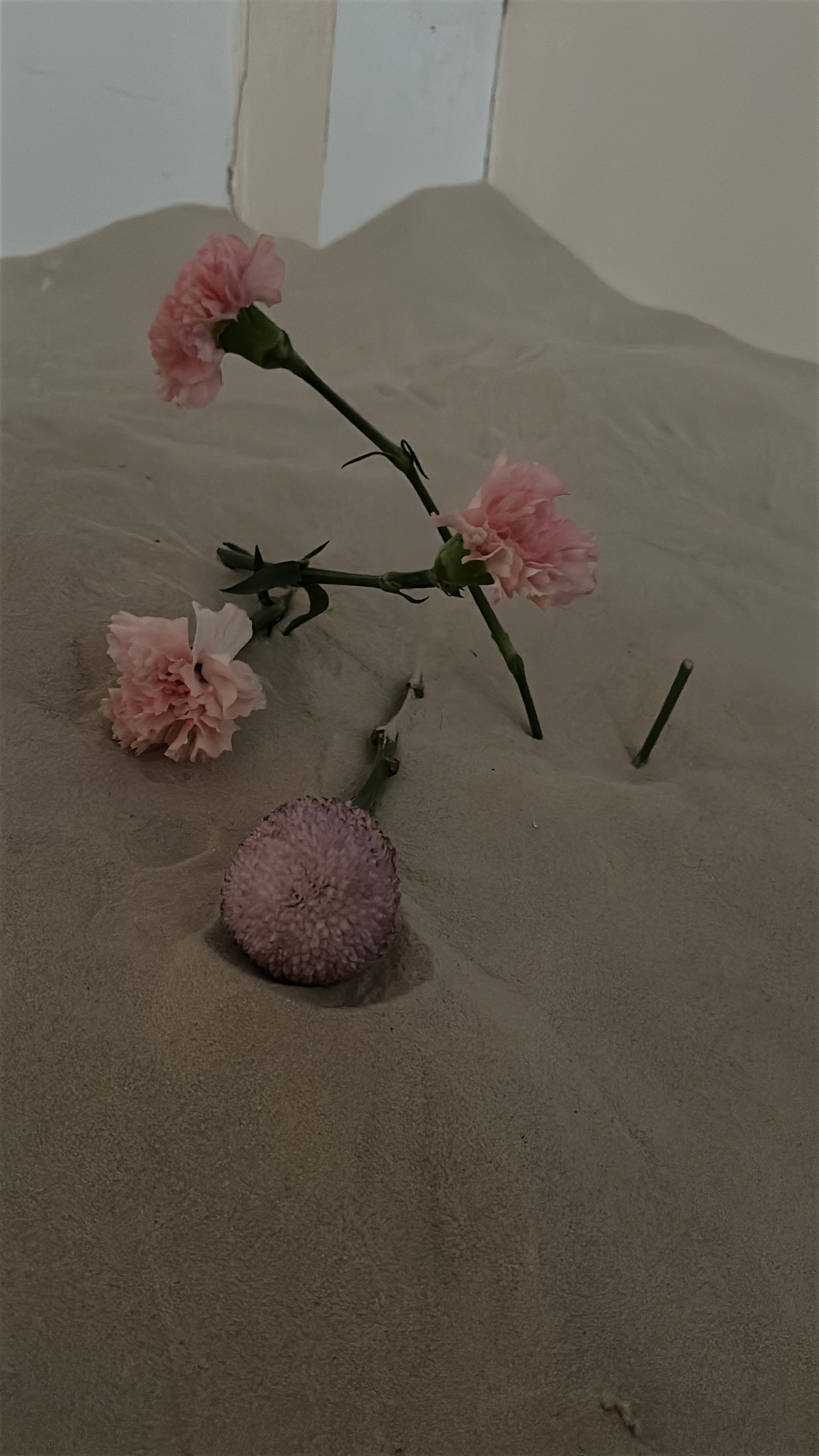 Floral étude. Rosebud. core production