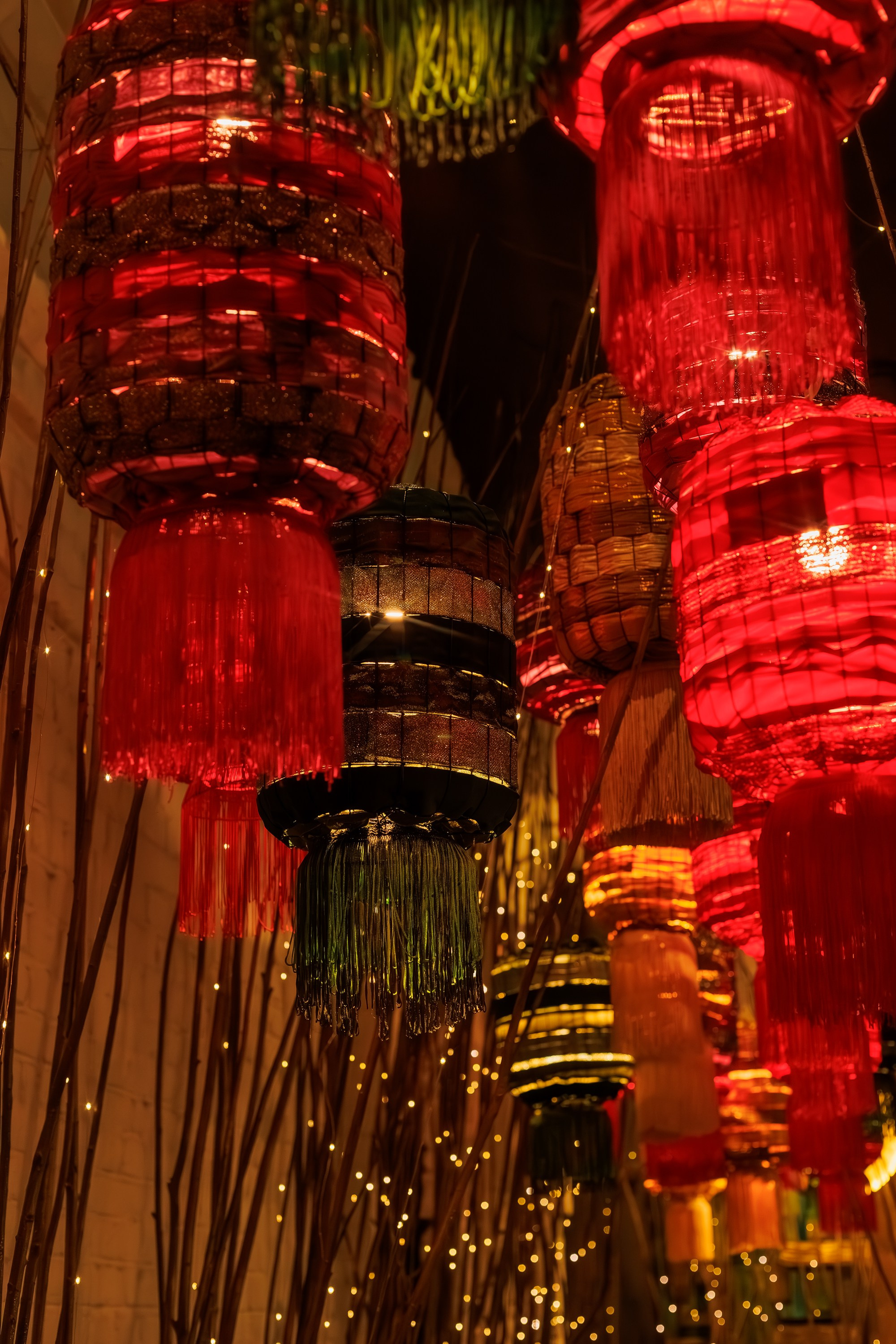 ЭХО новый год 2025. Фотограф из Хабаровска Юлия Черёмушкина