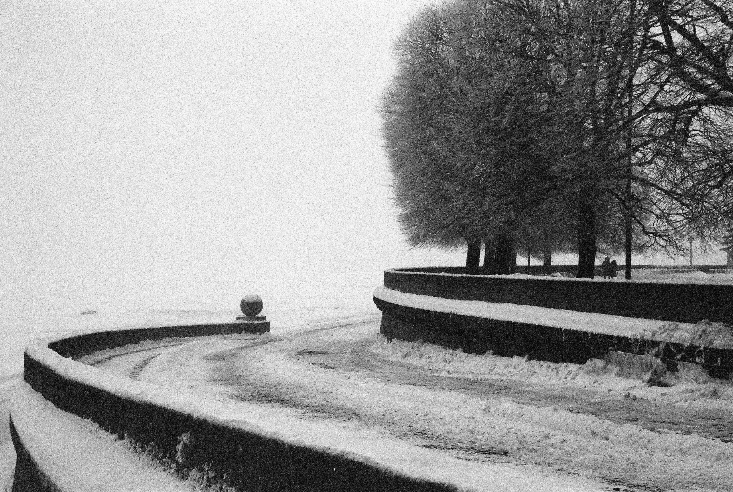 Фотографии черно-белые. Свадебный и семейный пленочный фотограф в Петербурге Истомина Ирина