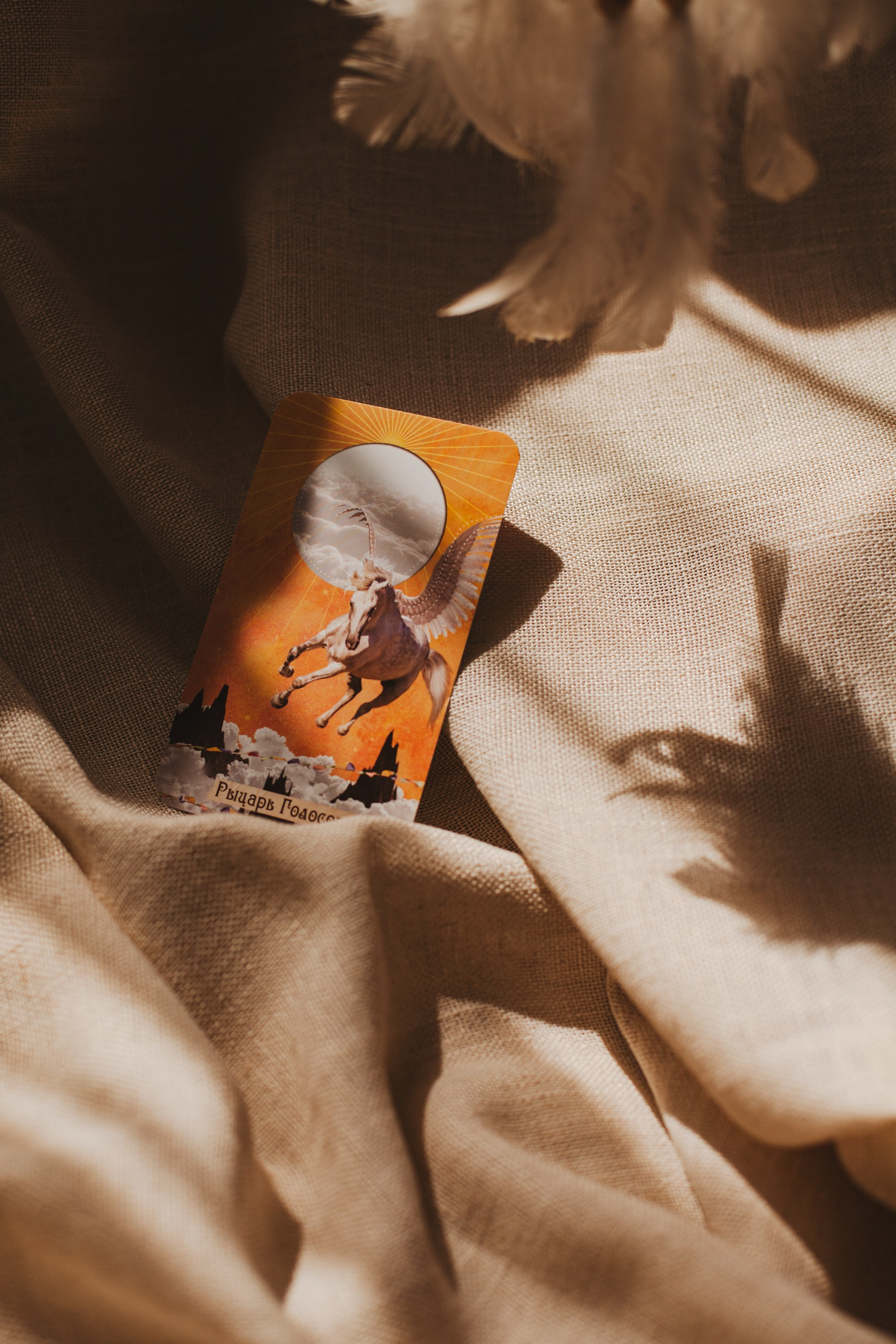 Таро. Виолетта Скрипка