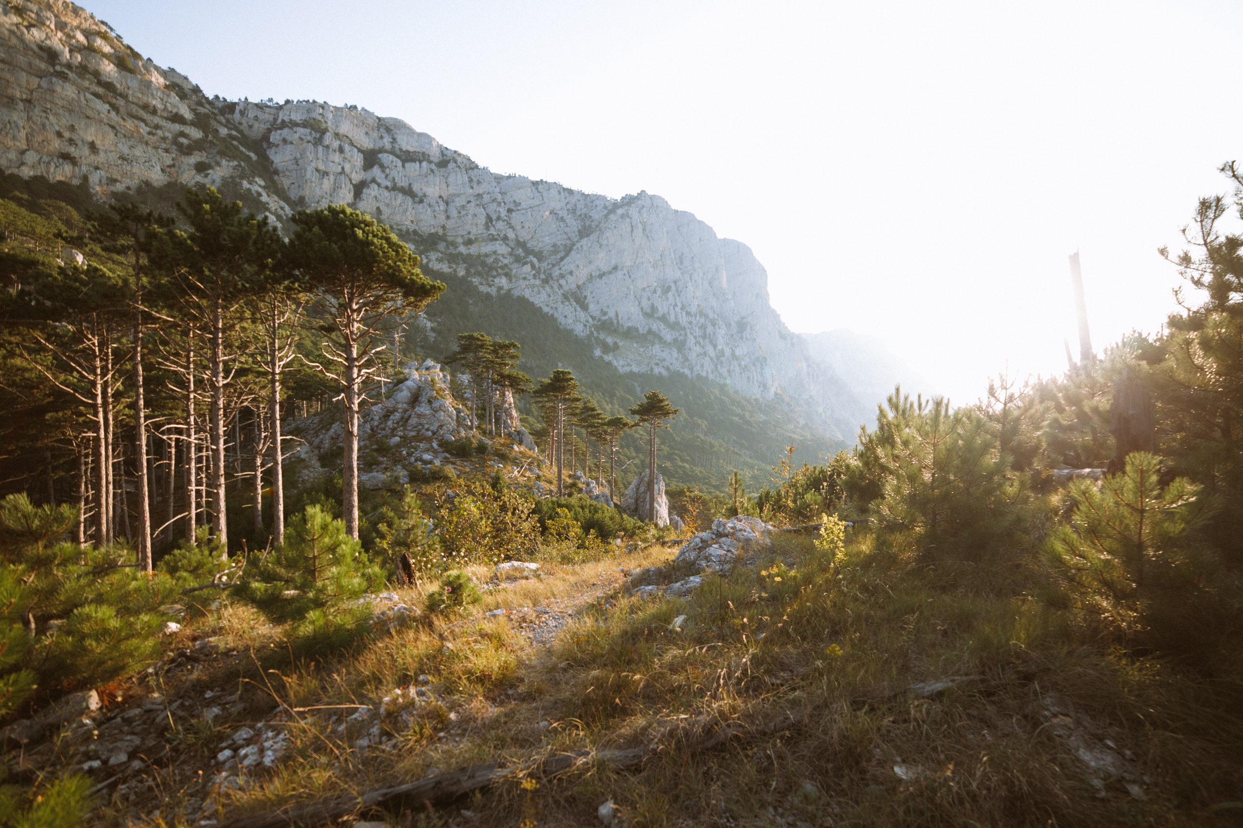 Nature. Артем Корнев Фотограф