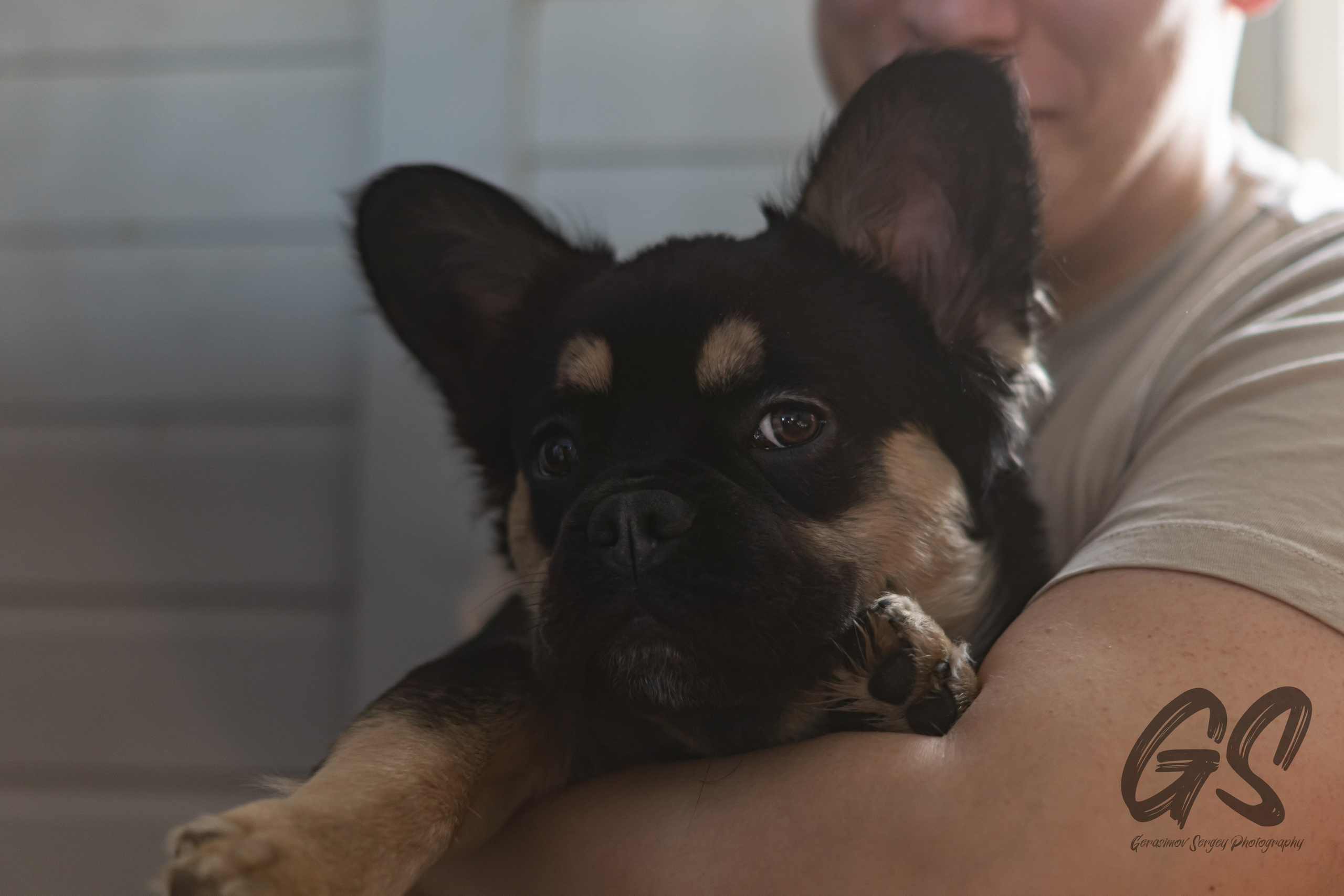 Мероприятия. GS.Media