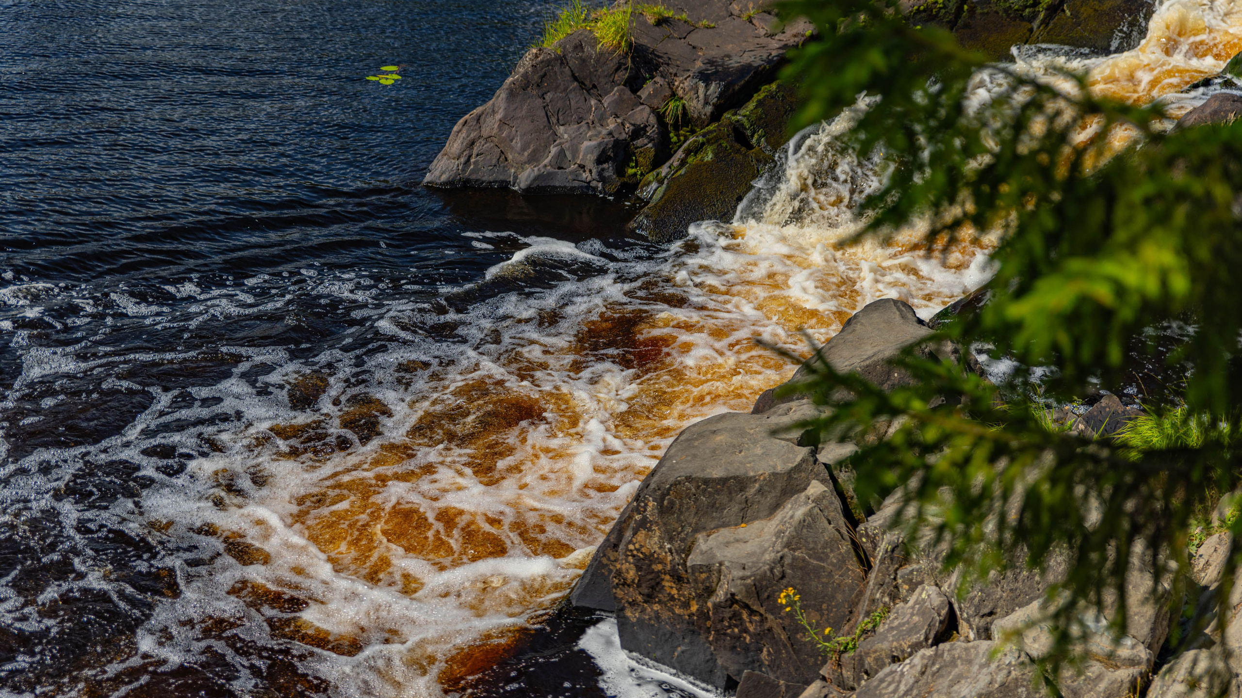 2025 07 Выборг — Сортавала — Великий Новгород — Псков. Фотографии