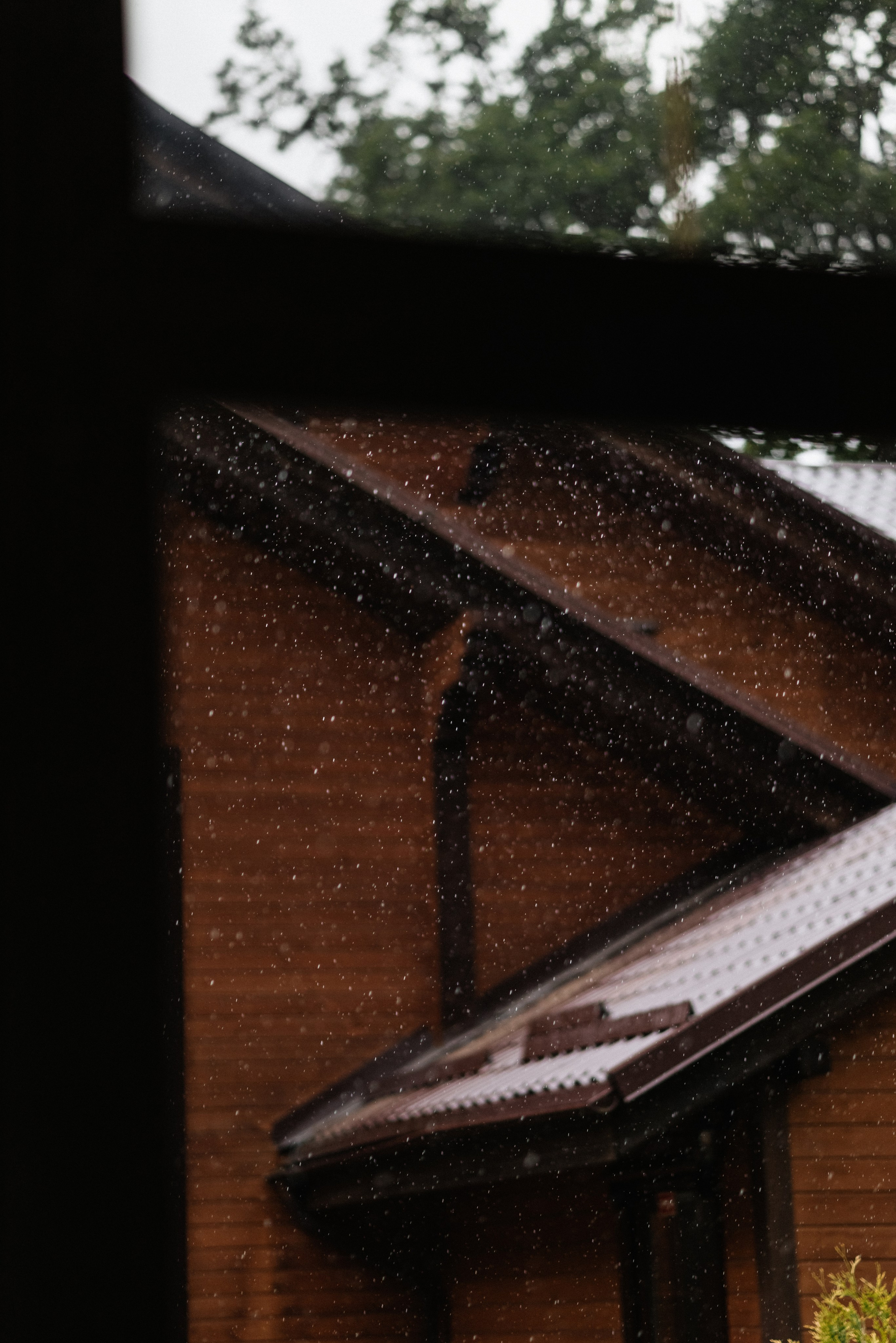 Александра и Андрей. Свадебный и портретный фотограф в Минске Татьяна Лобода