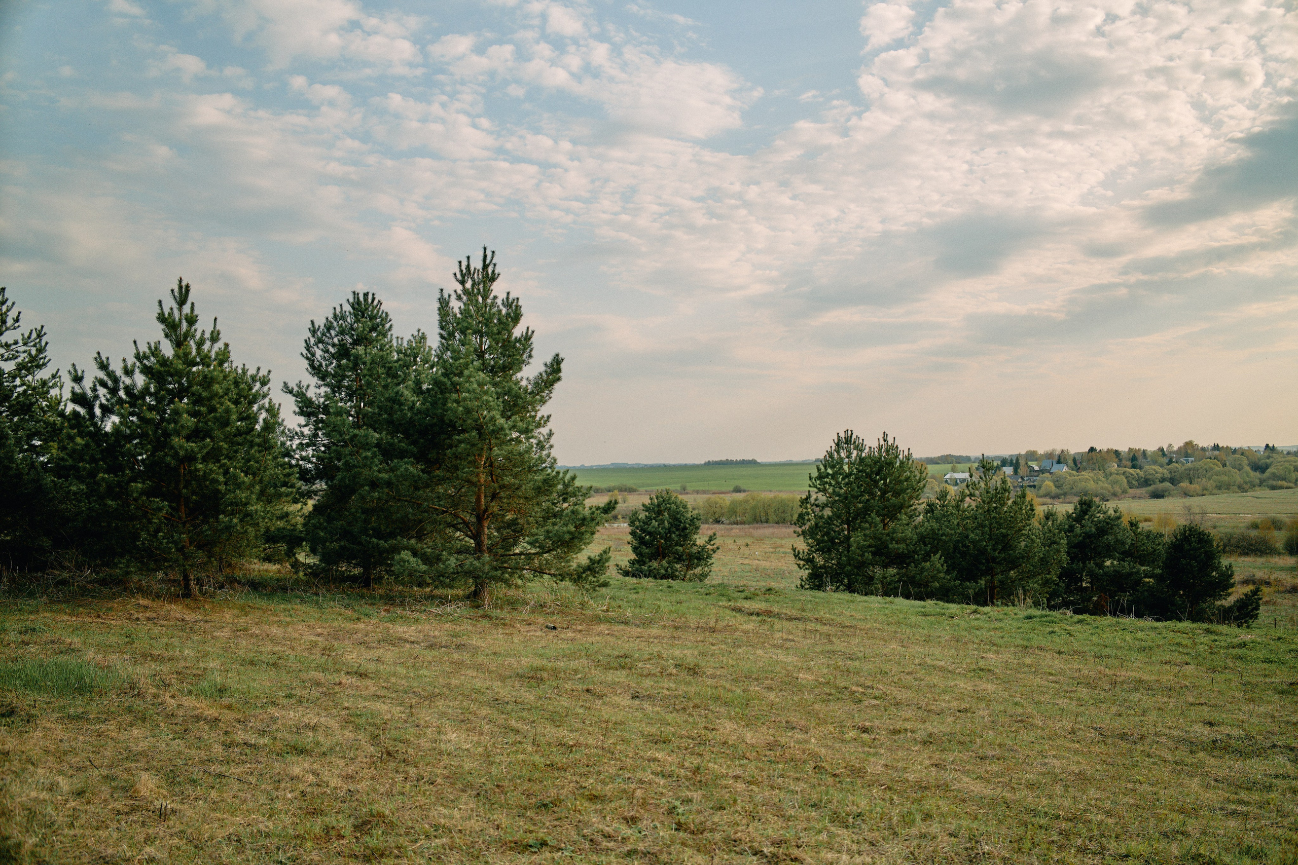 Бутик-отель Поле летом. Профессиональный Фотограф во Владимире, в Москве и в Суздале — Полина Романычева