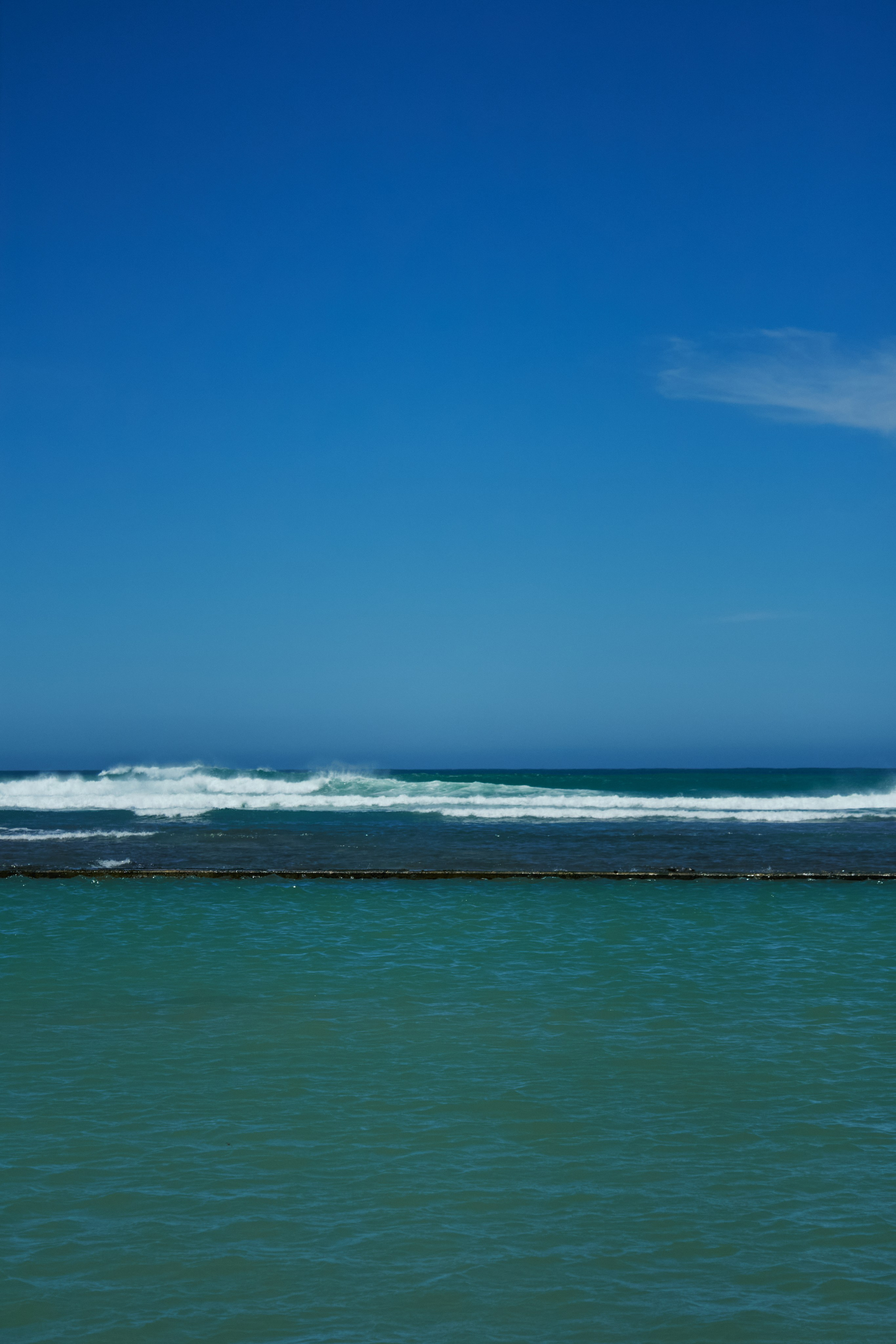 ЮАР. Профессиональный Фотограф во Владимире, в Москве и в Суздале — Полина Романычева