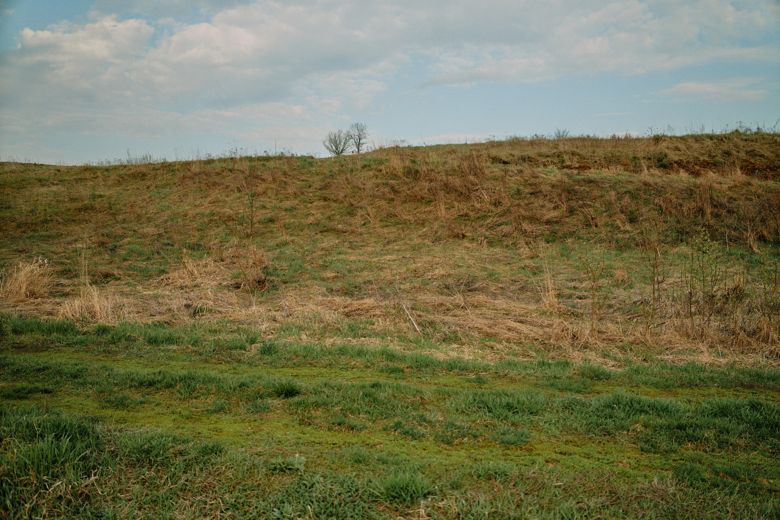 Бутик-отель Поле летом. Профессиональный Фотограф во Владимире, в Москве и в Суздале — Полина Романычева