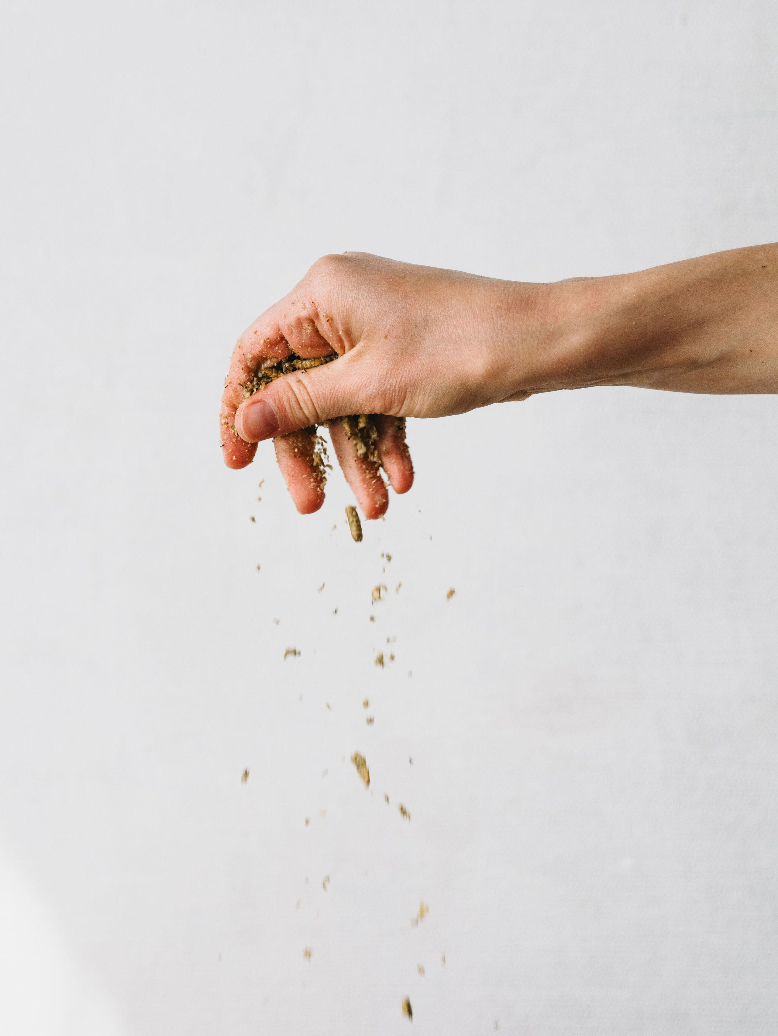 Корм для животных. Алёна Стерхова — Предметный и портретный фотограф. Ижевск