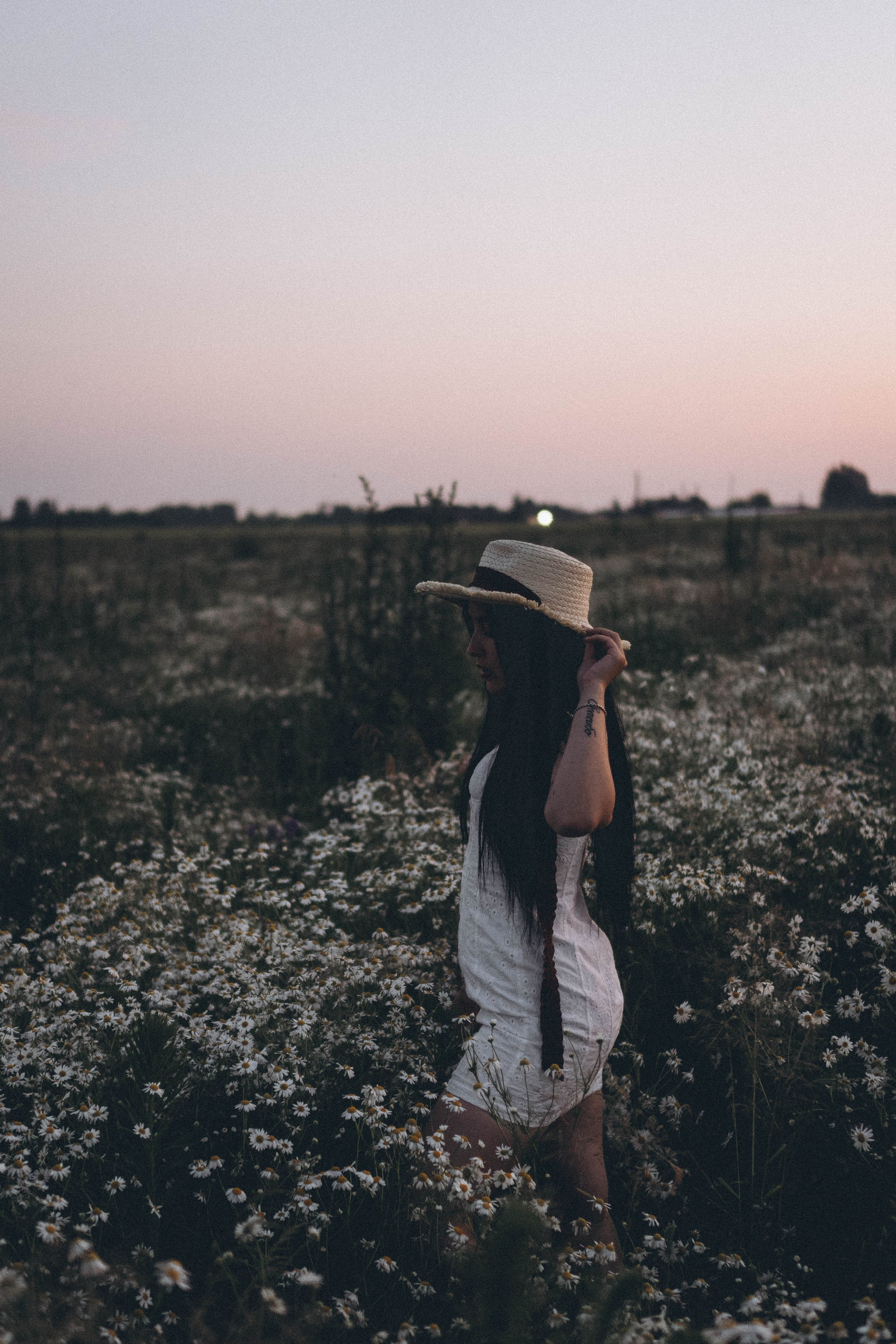 Ромашковое поле. Профессиональный фотограф, Санкт-Петербург — Виктория Богомолова