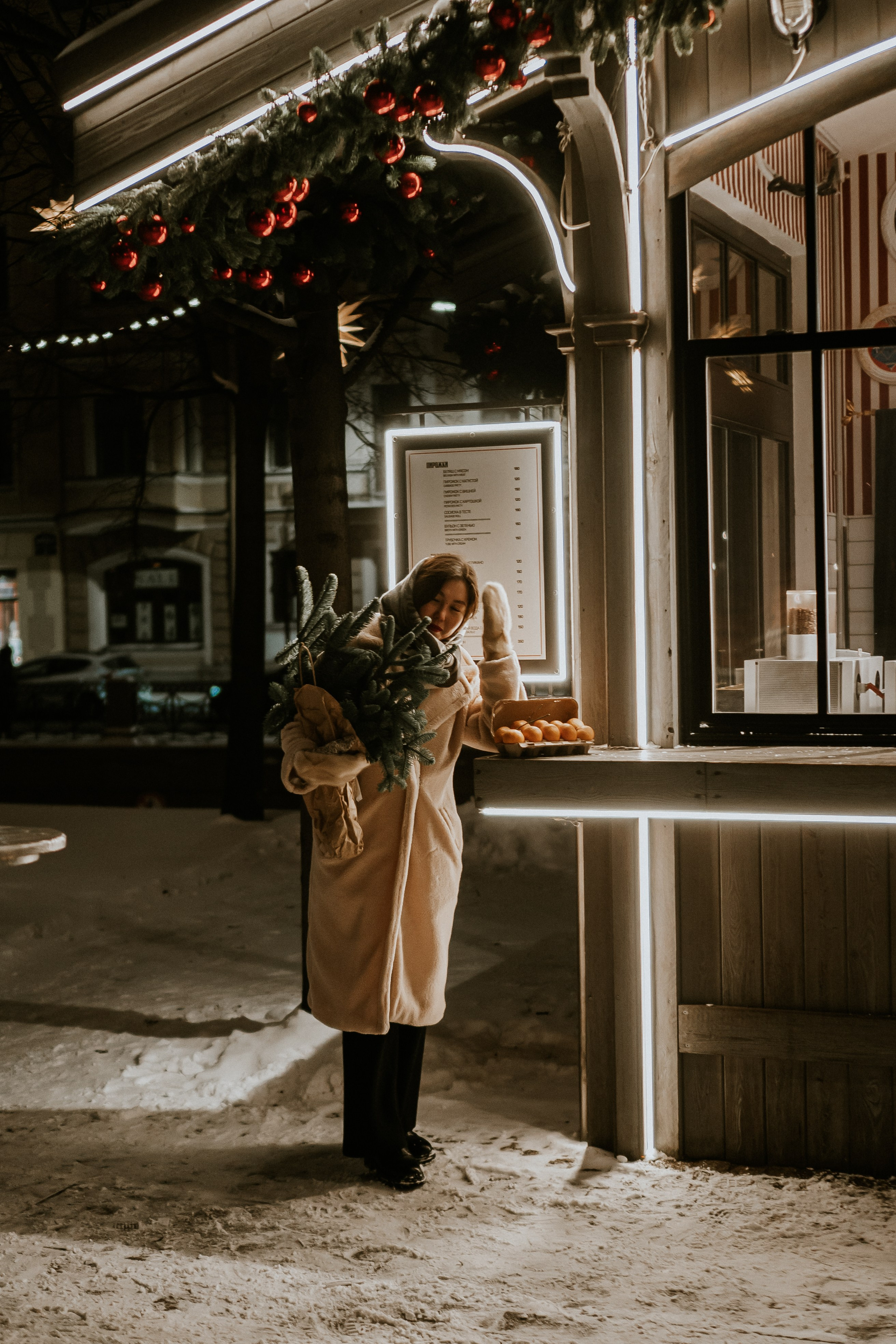 Зимняя сказка в Новой Голандии. Профессиональный фотограф, Санкт-Петербург — Виктория Богомолова