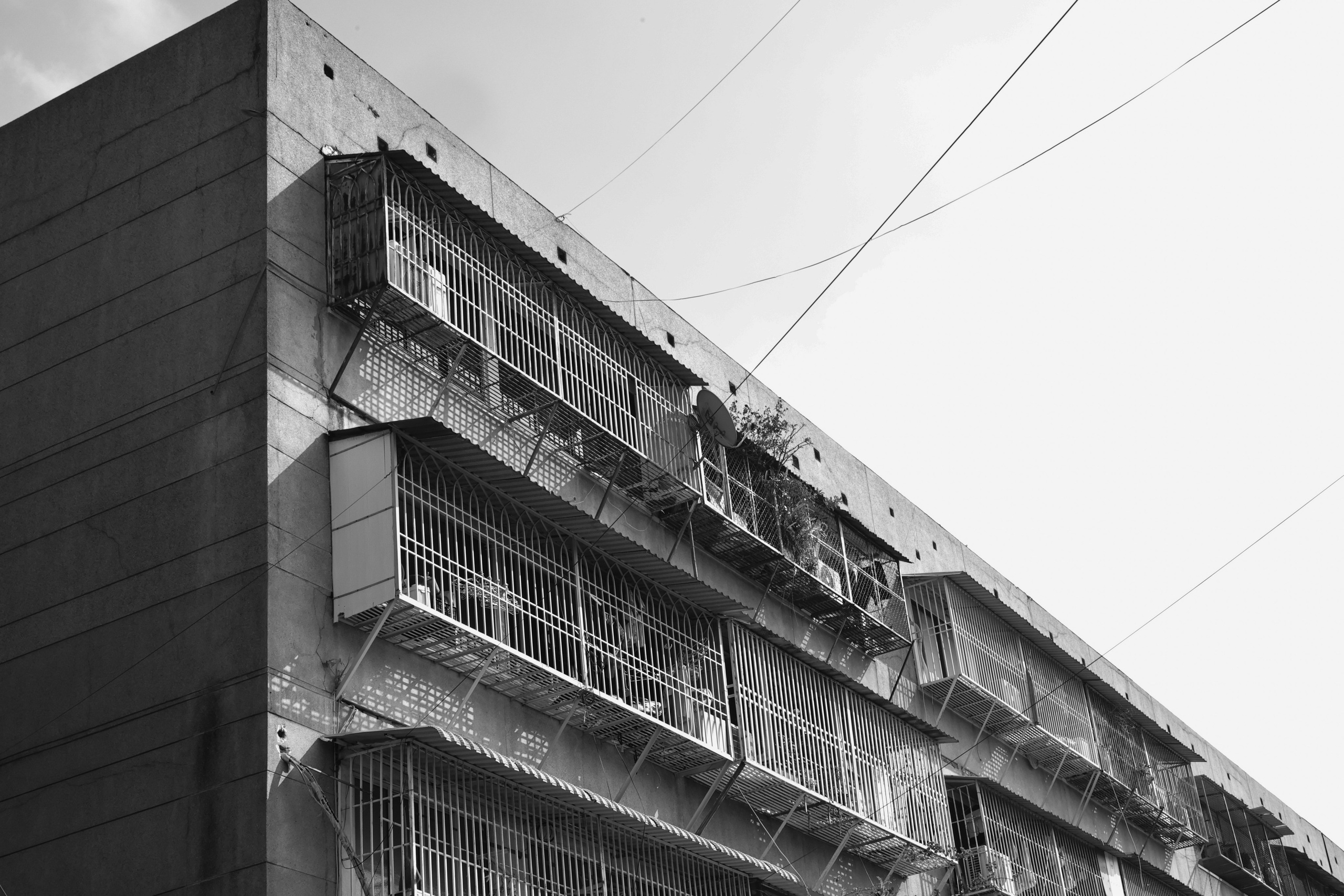 Vietnam, 2026. Арт-фотограф г. Москва