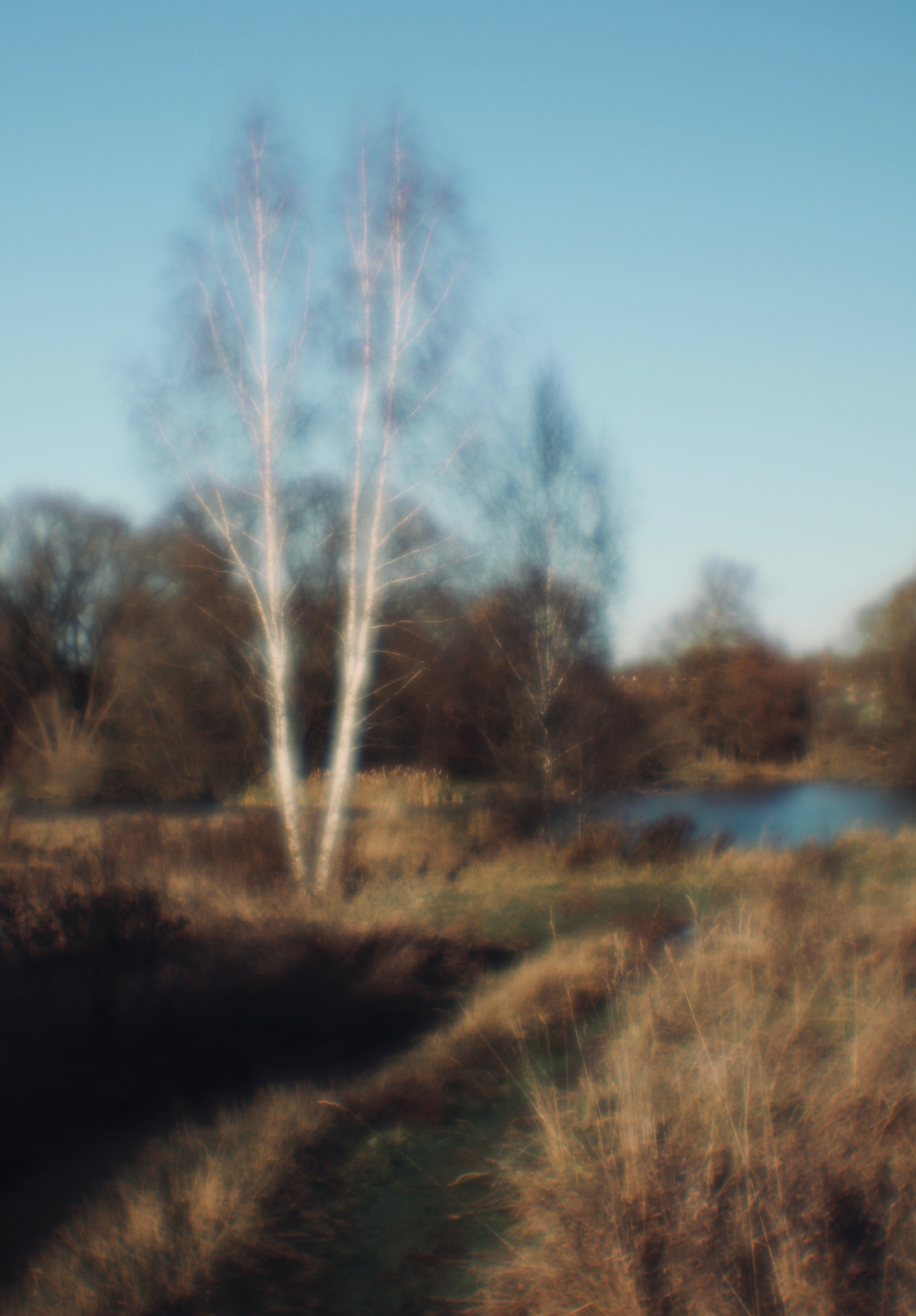 ПЕЙЗАЖИ. Профессиональный фотограф в Москве  Елена Фатьянова