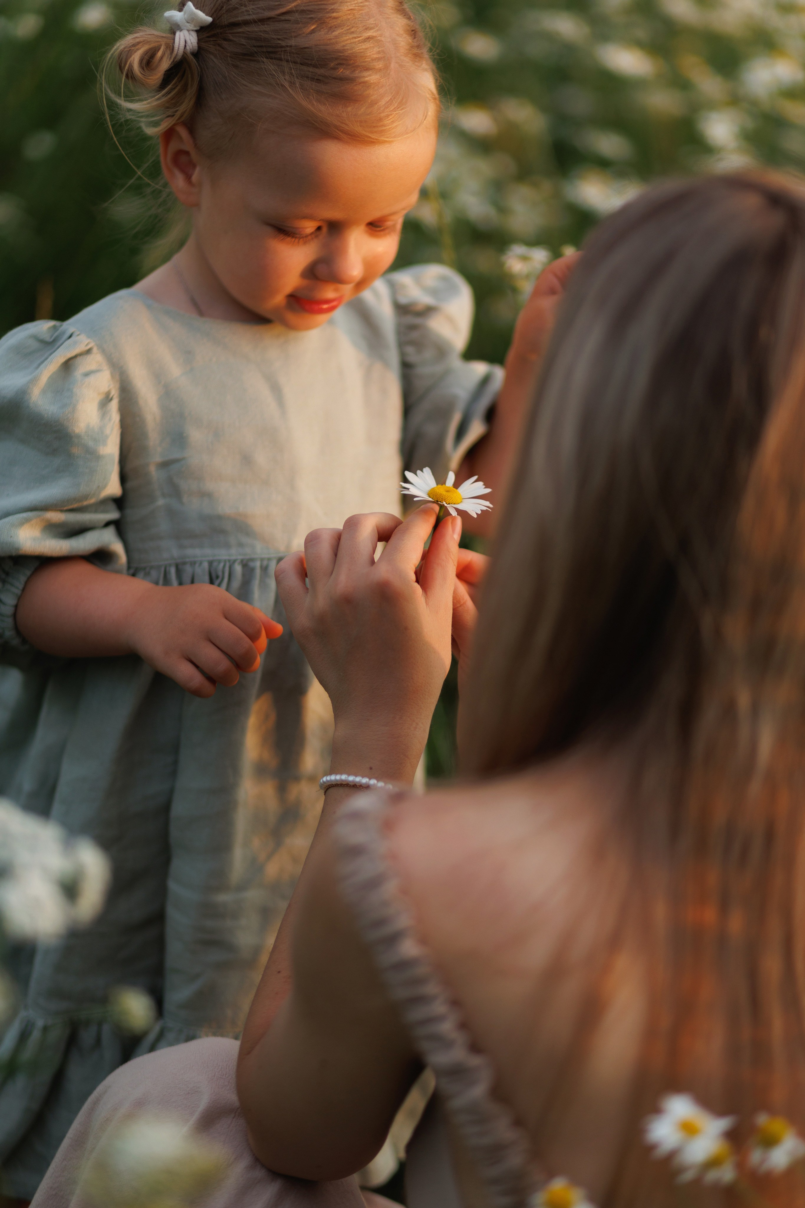 В ромашковом поле. Фотограф в Красногорске и Москве