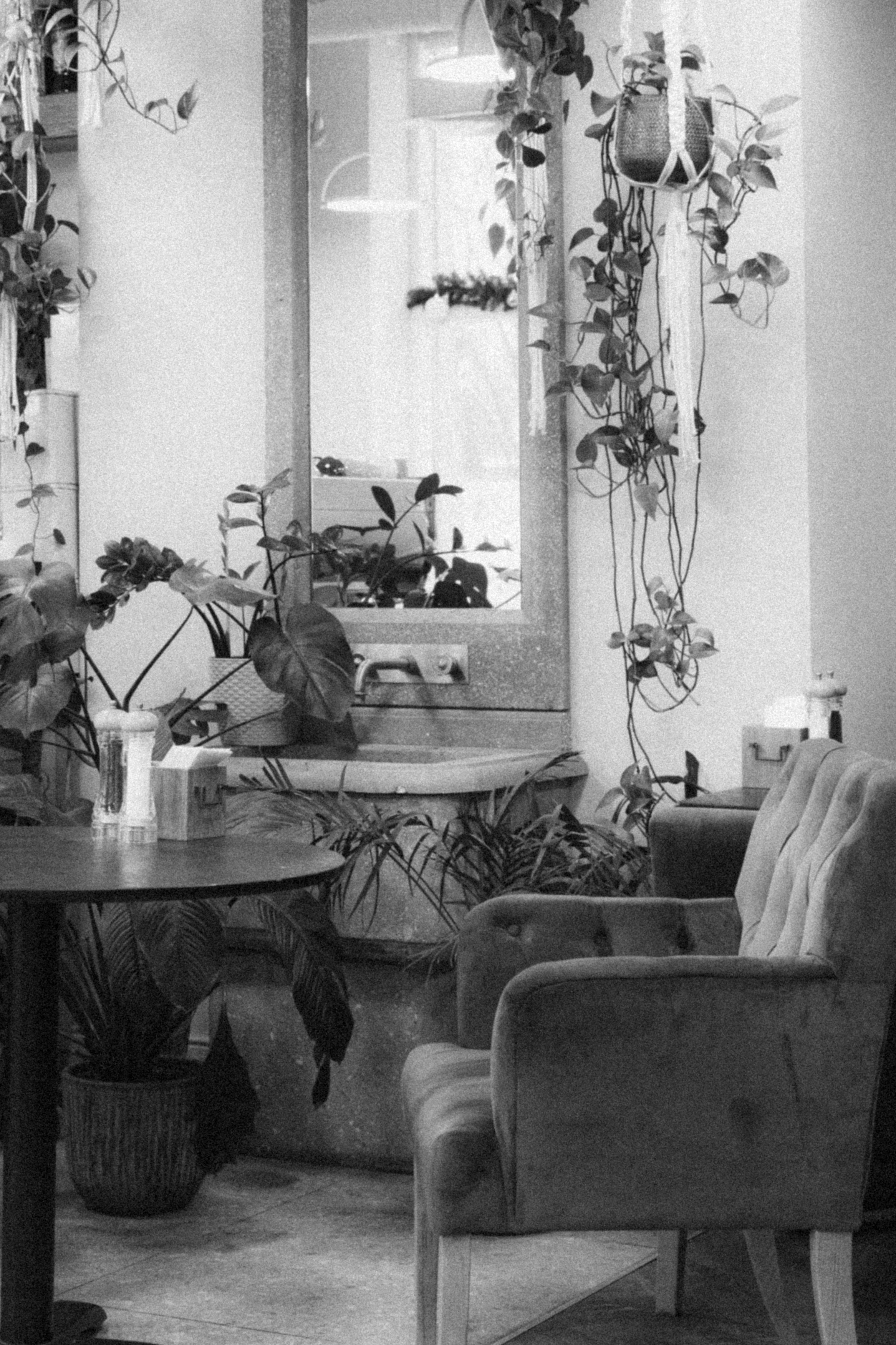 Портфолио контент фото для ресторанов. Контент фотограф в Москве Ник Фрост