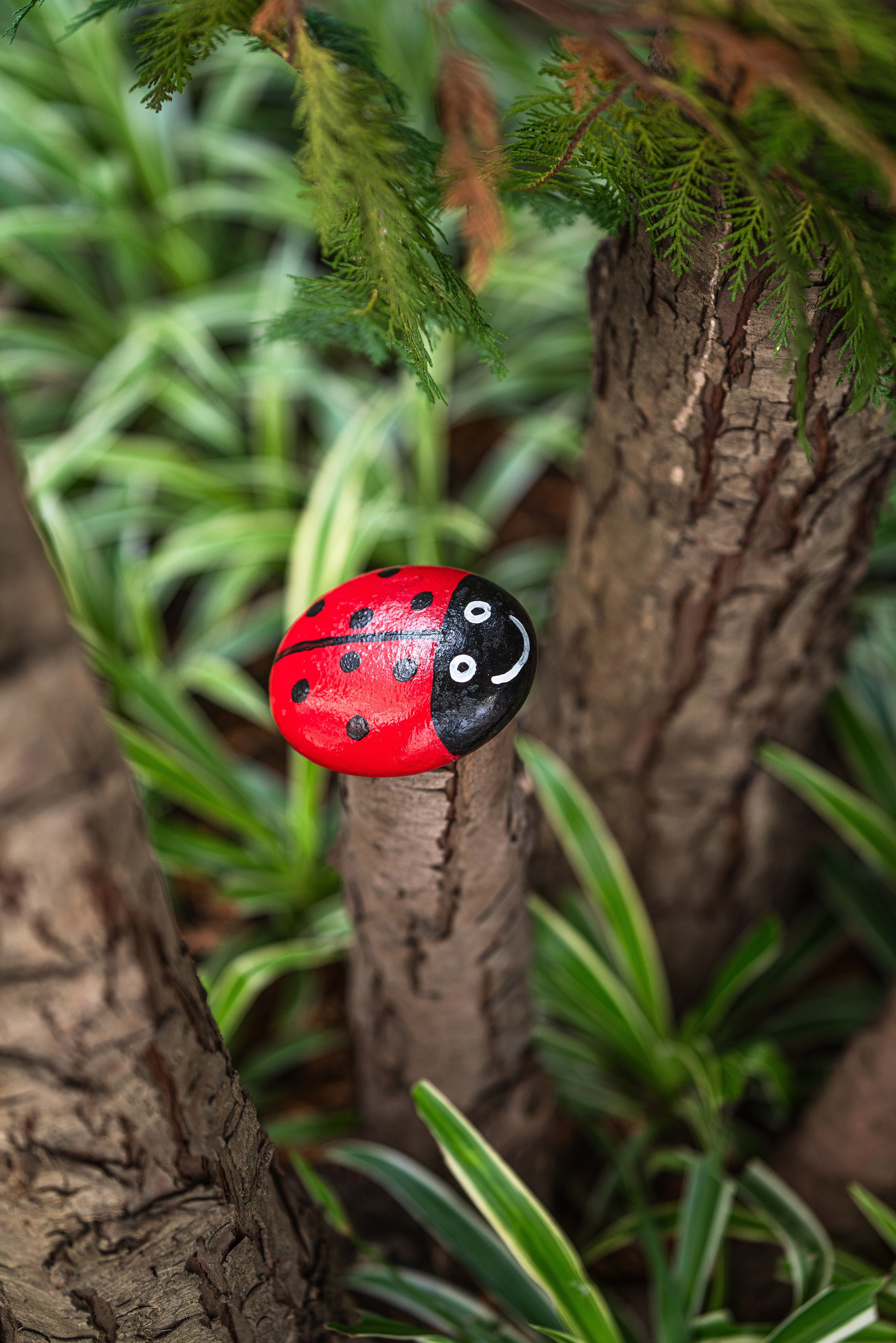 Фотограф интерьера Сочи. Фотограф Сочи