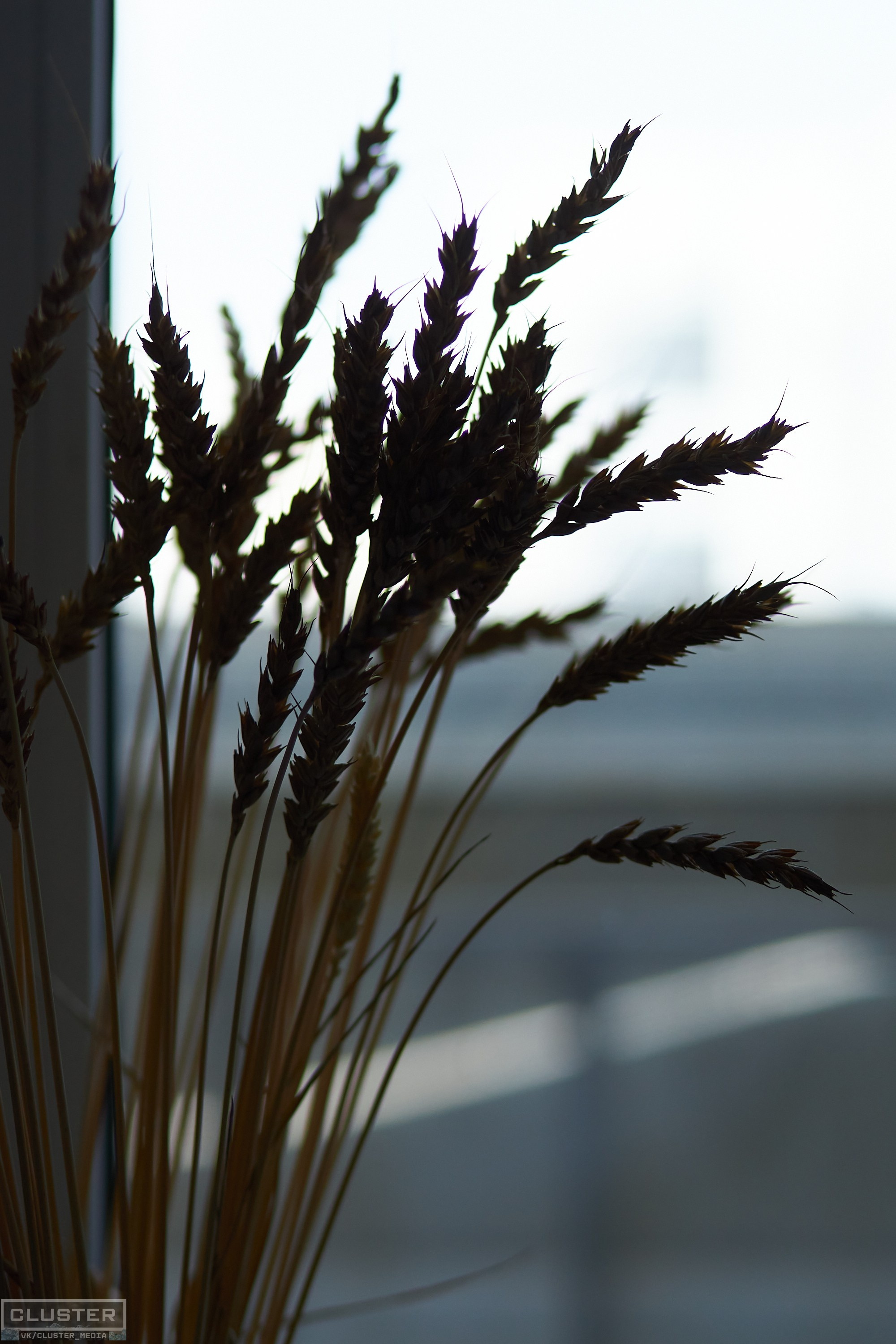 Лада и Алексей