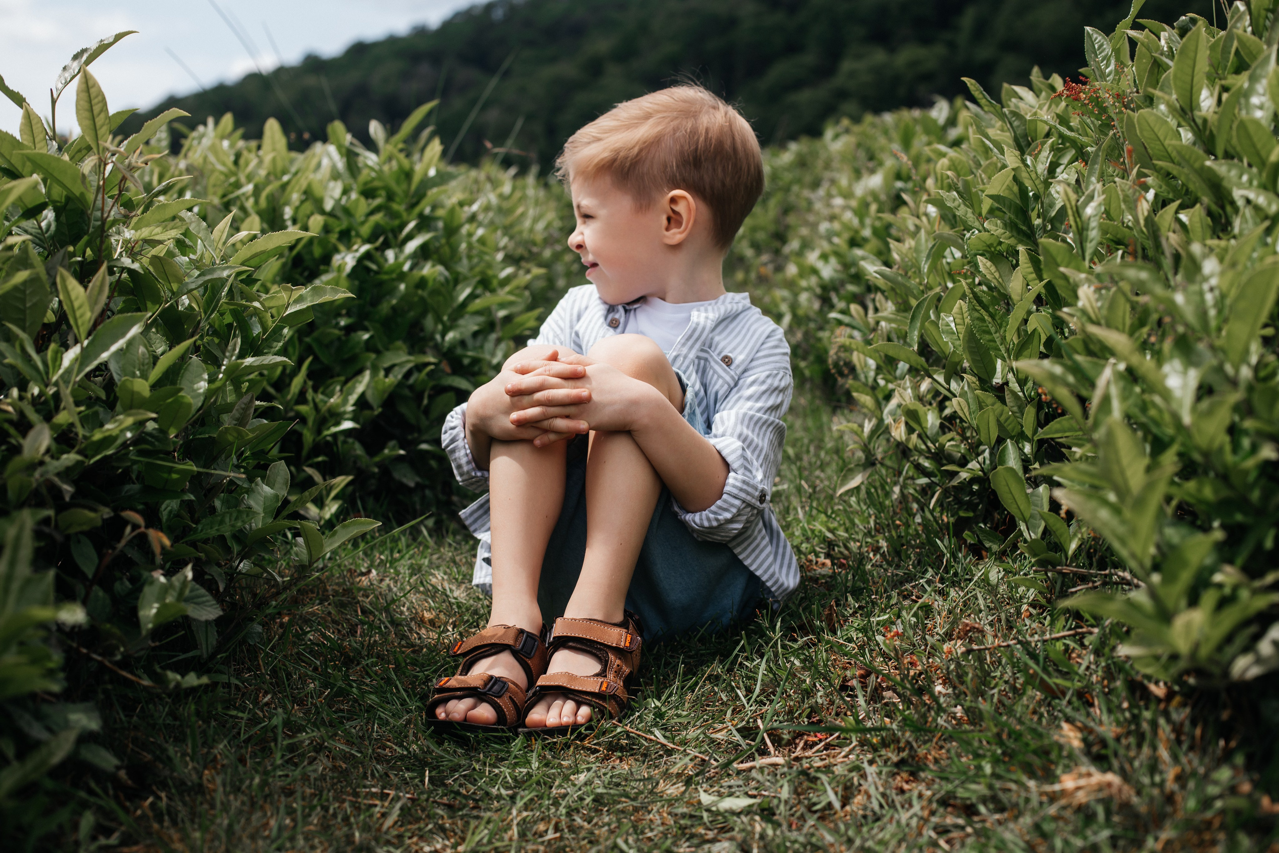 Tea plantation. Efimova Model Agency