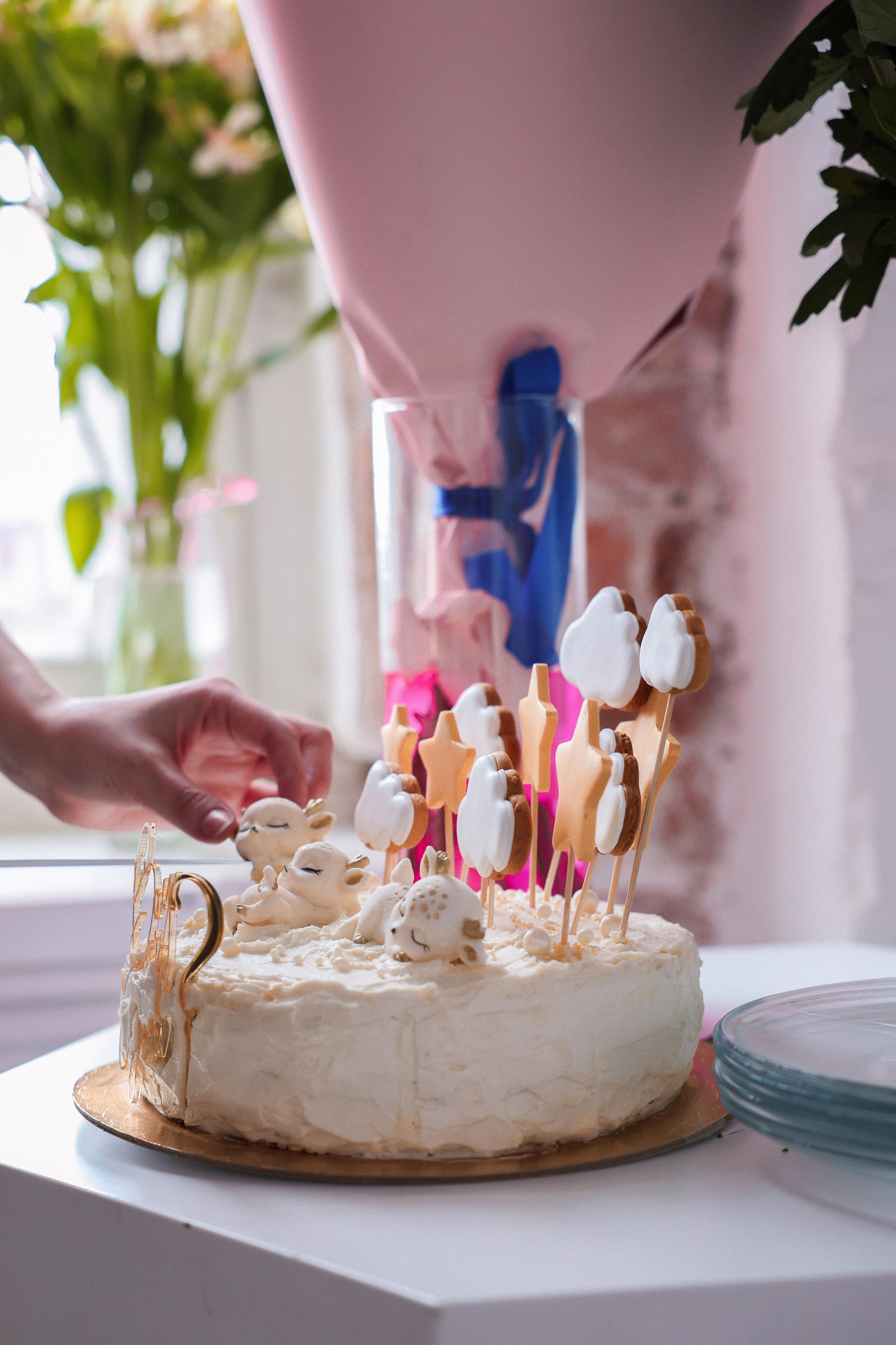 Гендер парти. Питерский фотограф