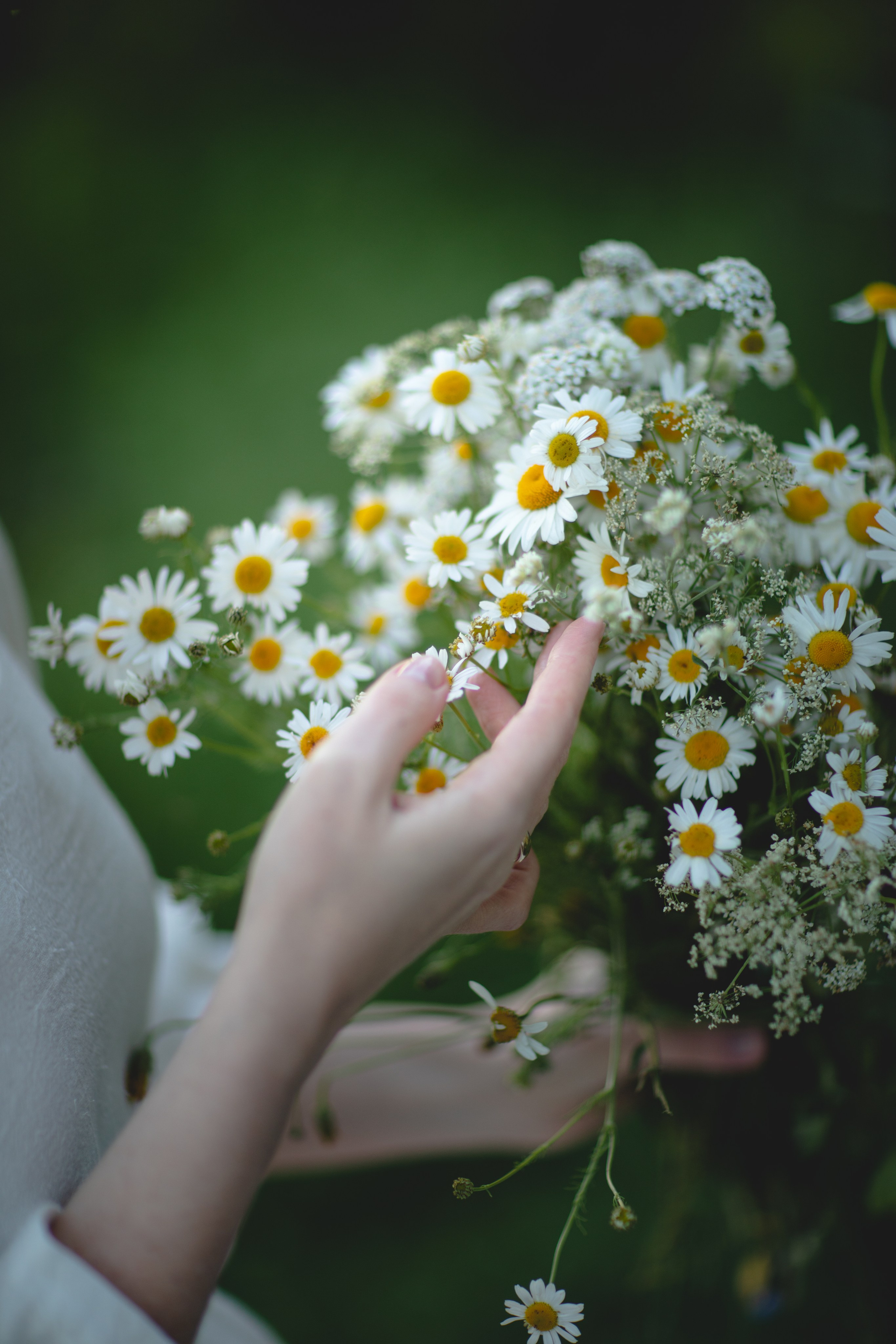 Фототуур «Край озёр» Лето. Семейный фотограф в Москве Анастасия Гурьянова