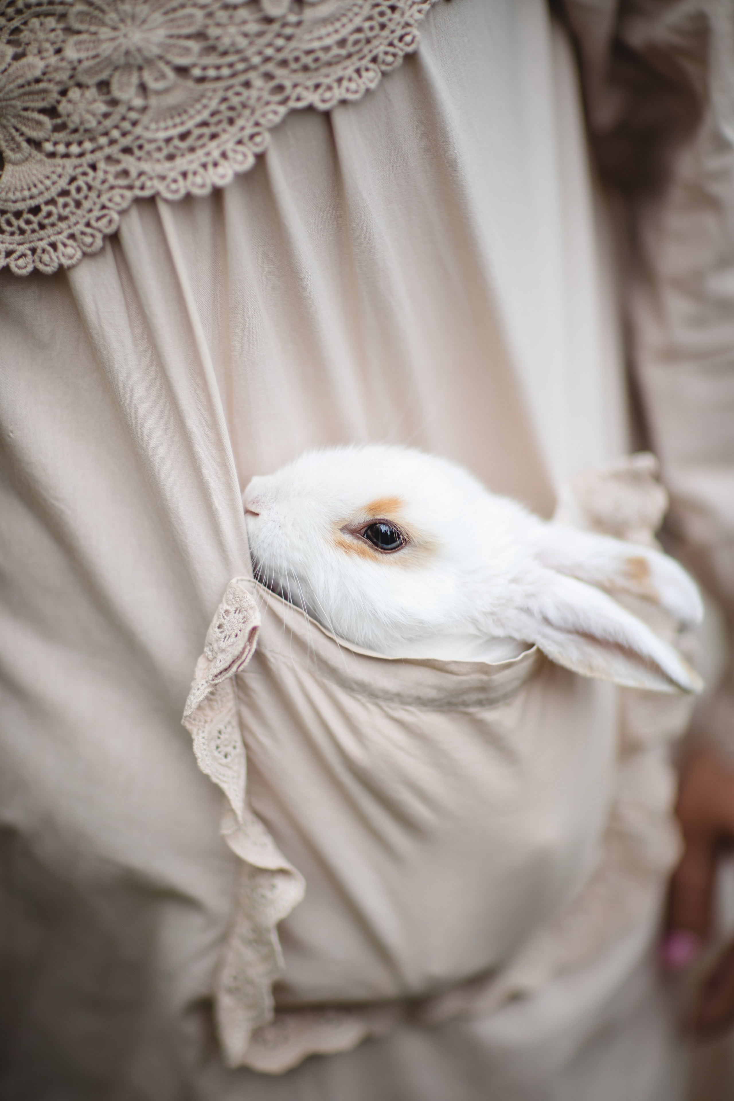 Фототуур «Край озёр» Лето. Семейный фотограф в Москве Анастасия Гурьянова