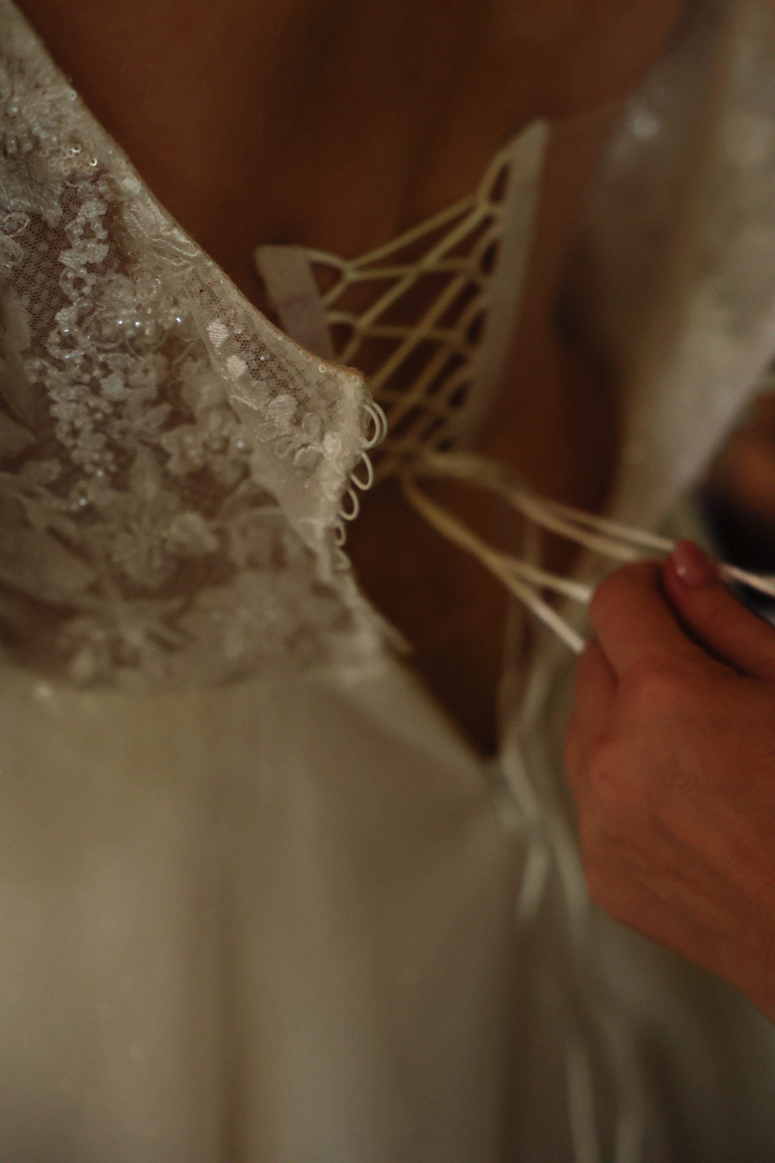 Green-house. Главная