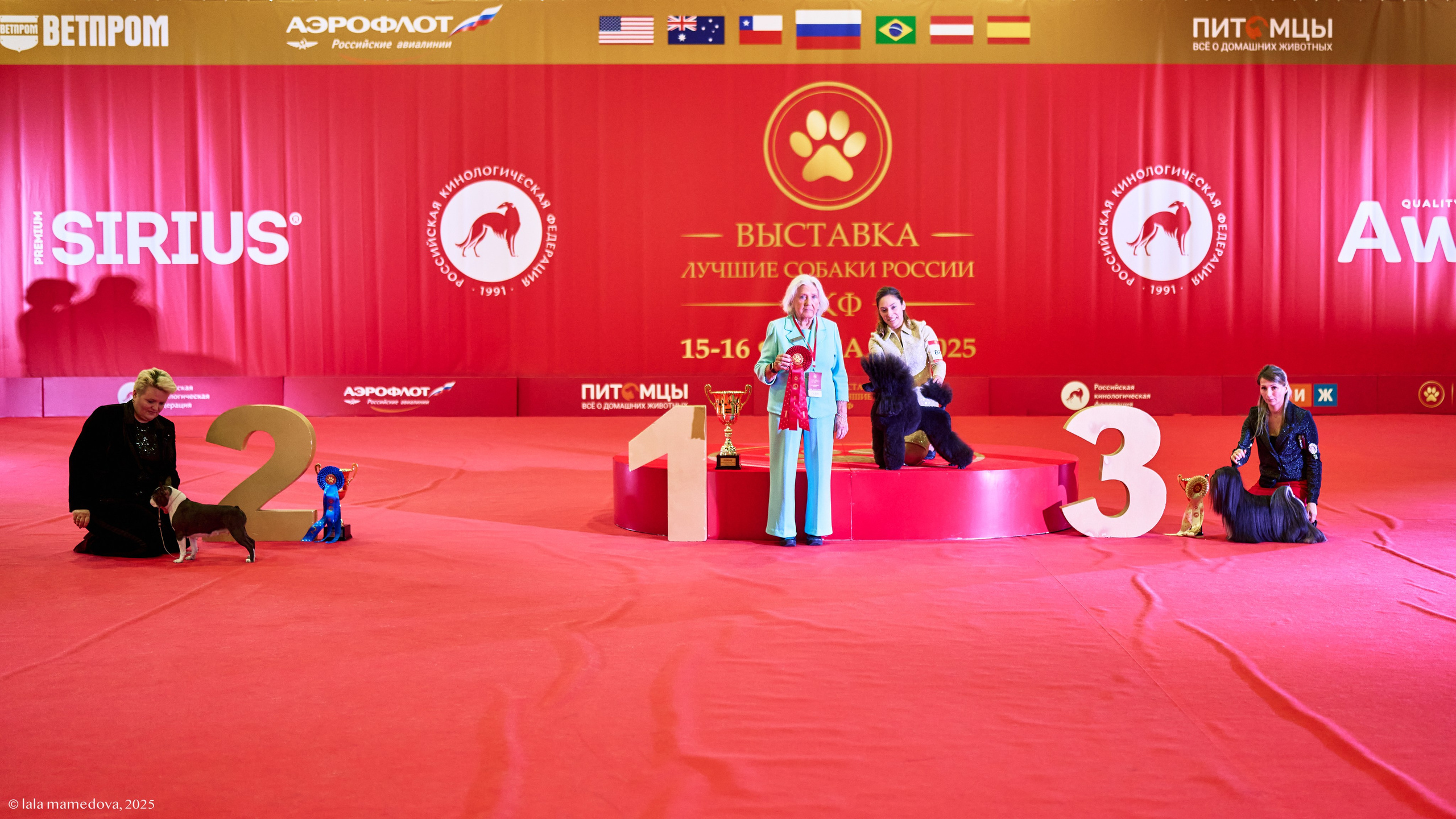 ЛУЧШИЕ СОБАКИ РОССИИ РКФ 2025