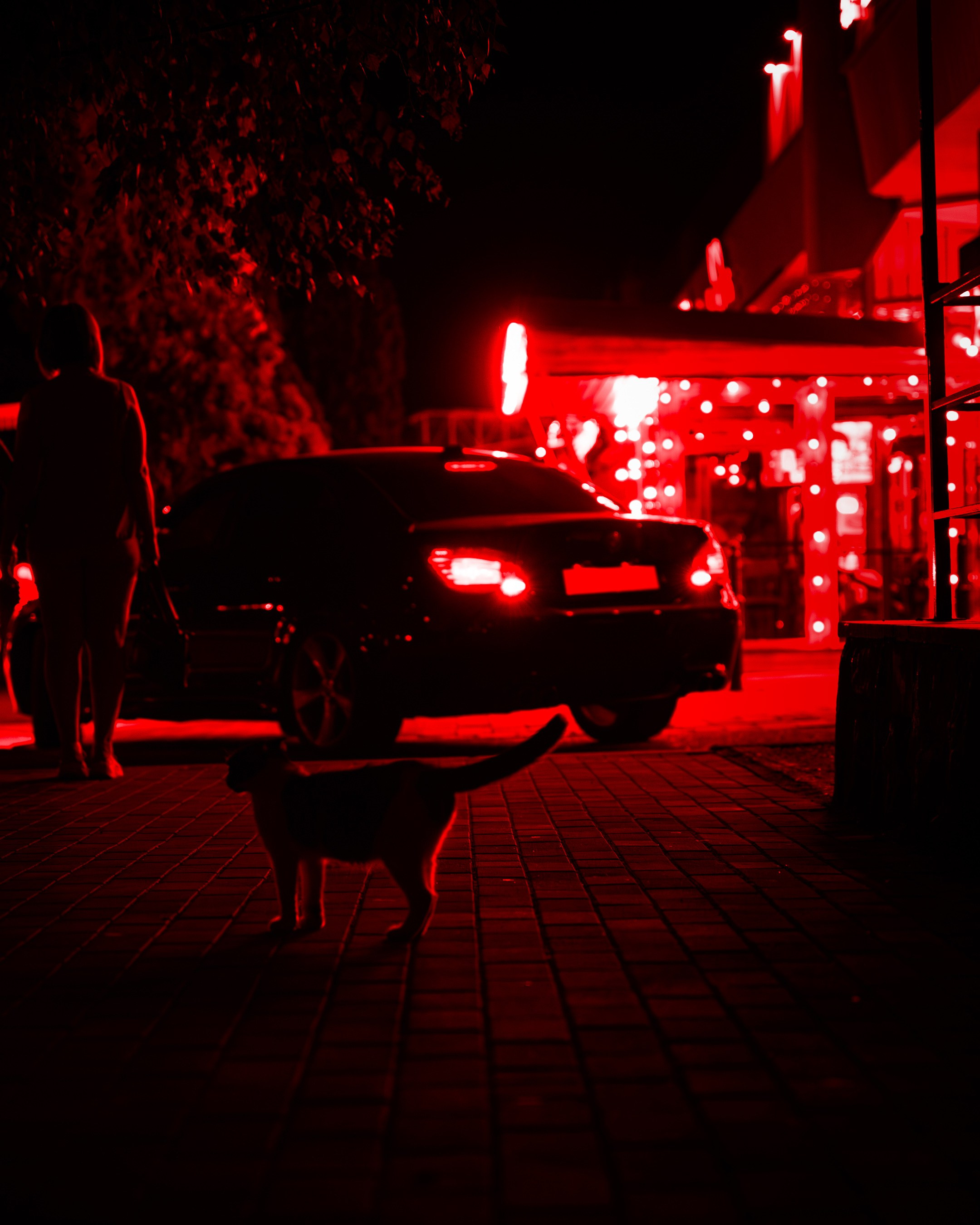 Street/Cinematic. Фотограф в Москве Анна Чистякова