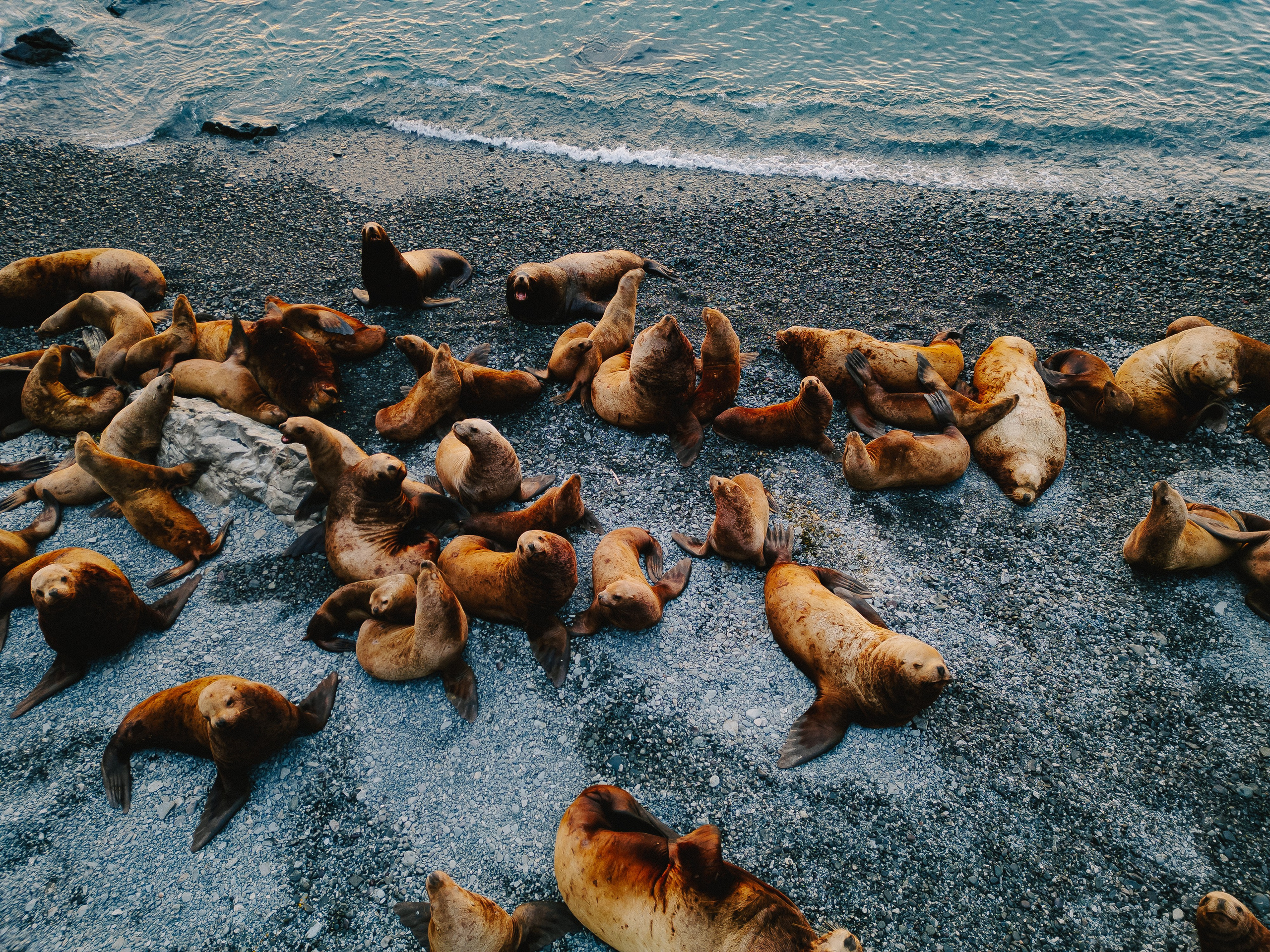 Airphoto. Николай Филиппов Event & Concert Photographer Москвf