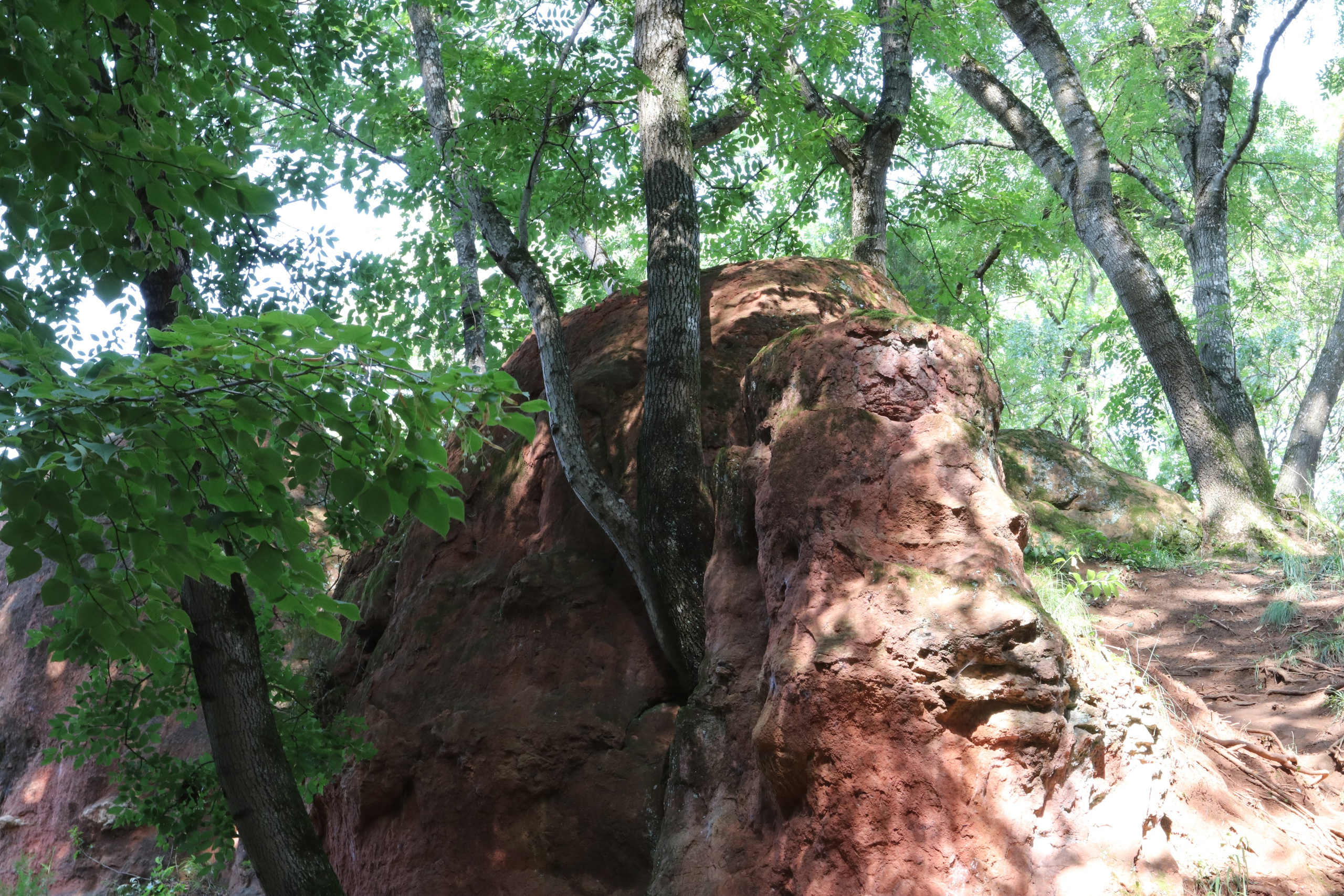Кисловодские пейзажи. Фото-художник и Репортажный фотограф Николаев Александр Алексеевич