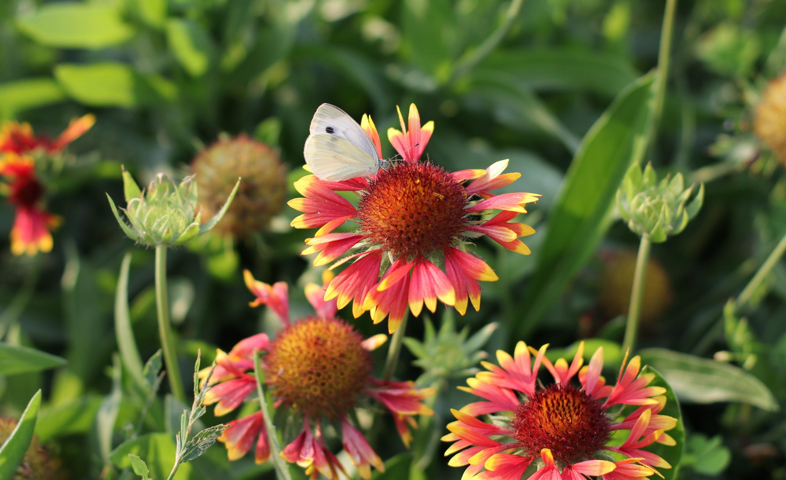 МАГАЗИН и его витрина. Фото-художник и Репортажный фотограф Николаев Александр Алексеевич