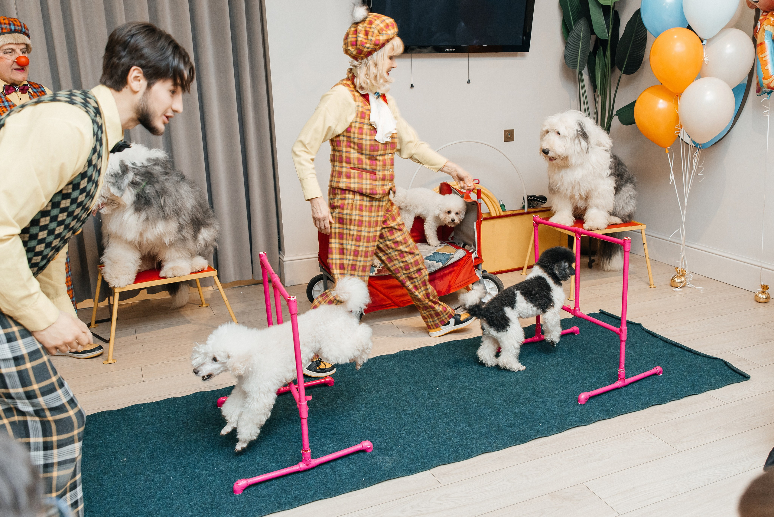 Даниил 4 года. Фотограф Москва Шептаев Артём