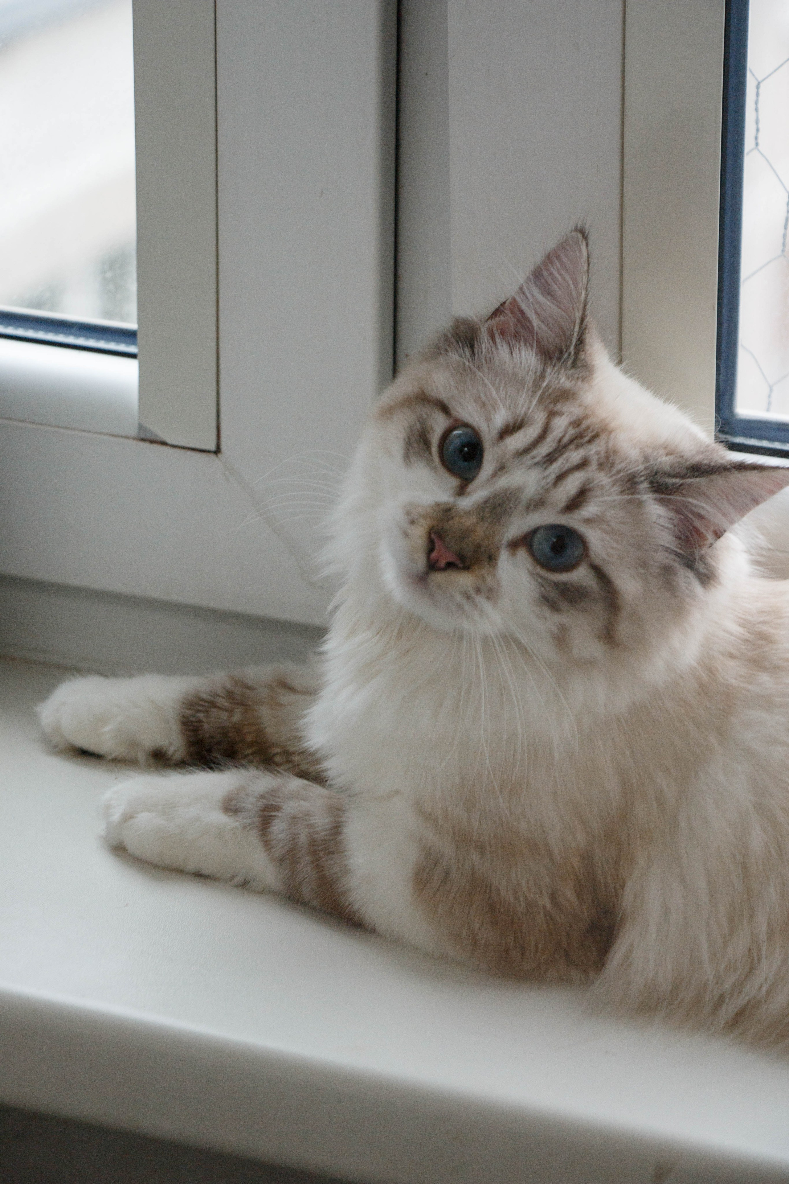 Kristina & Miya. Бережно сохраняю ваши чувства и истории на своих фотографиях