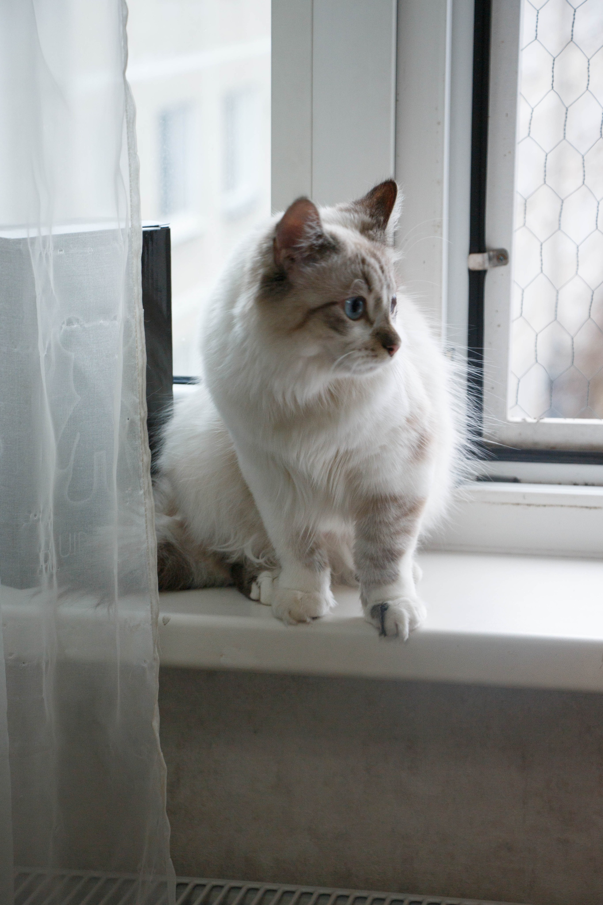 Kristina & Miya. Бережно сохраняю ваши чувства и истории на своих фотографиях