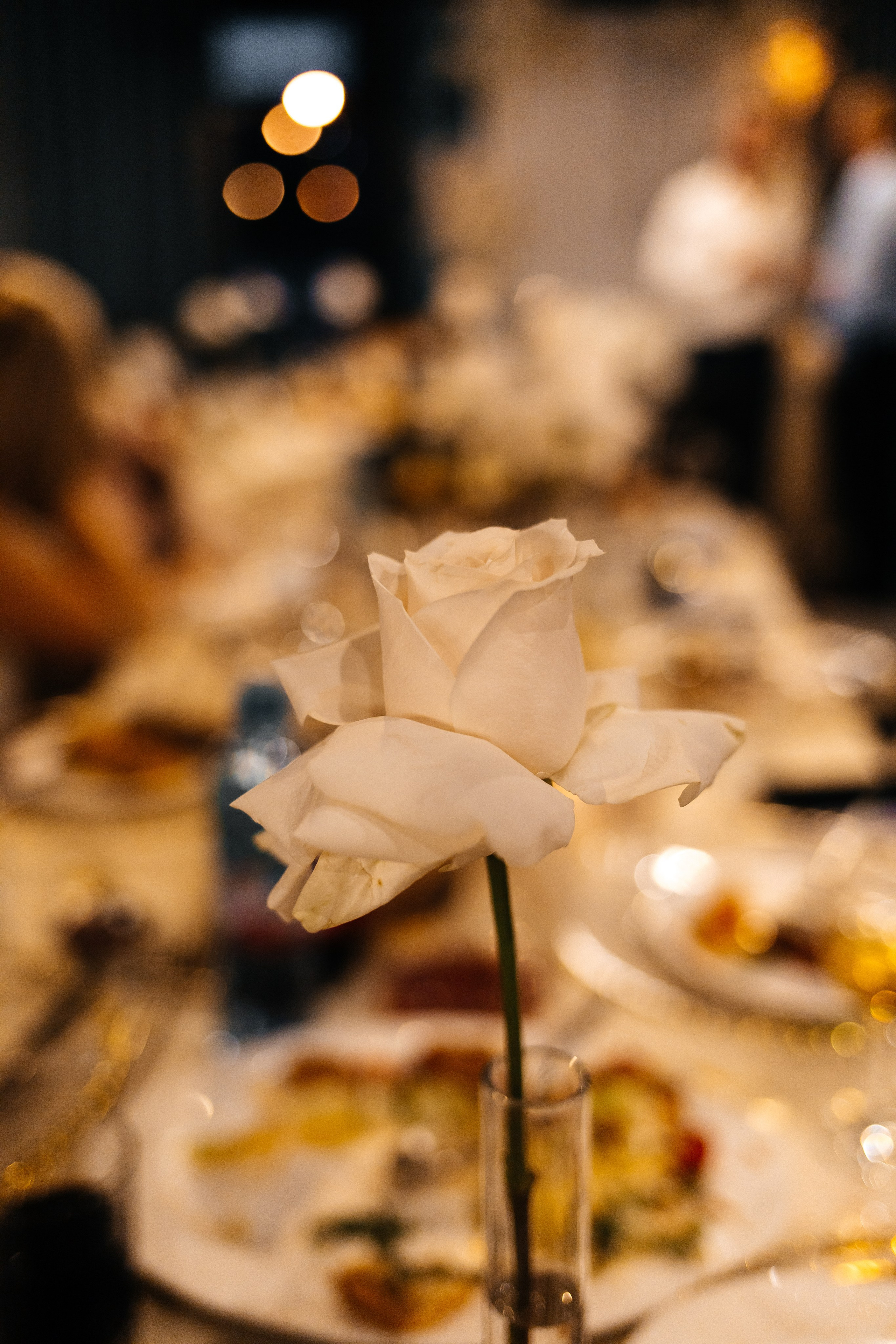 Даниил & Полина. Фотограф Петрозаводск/СПБ