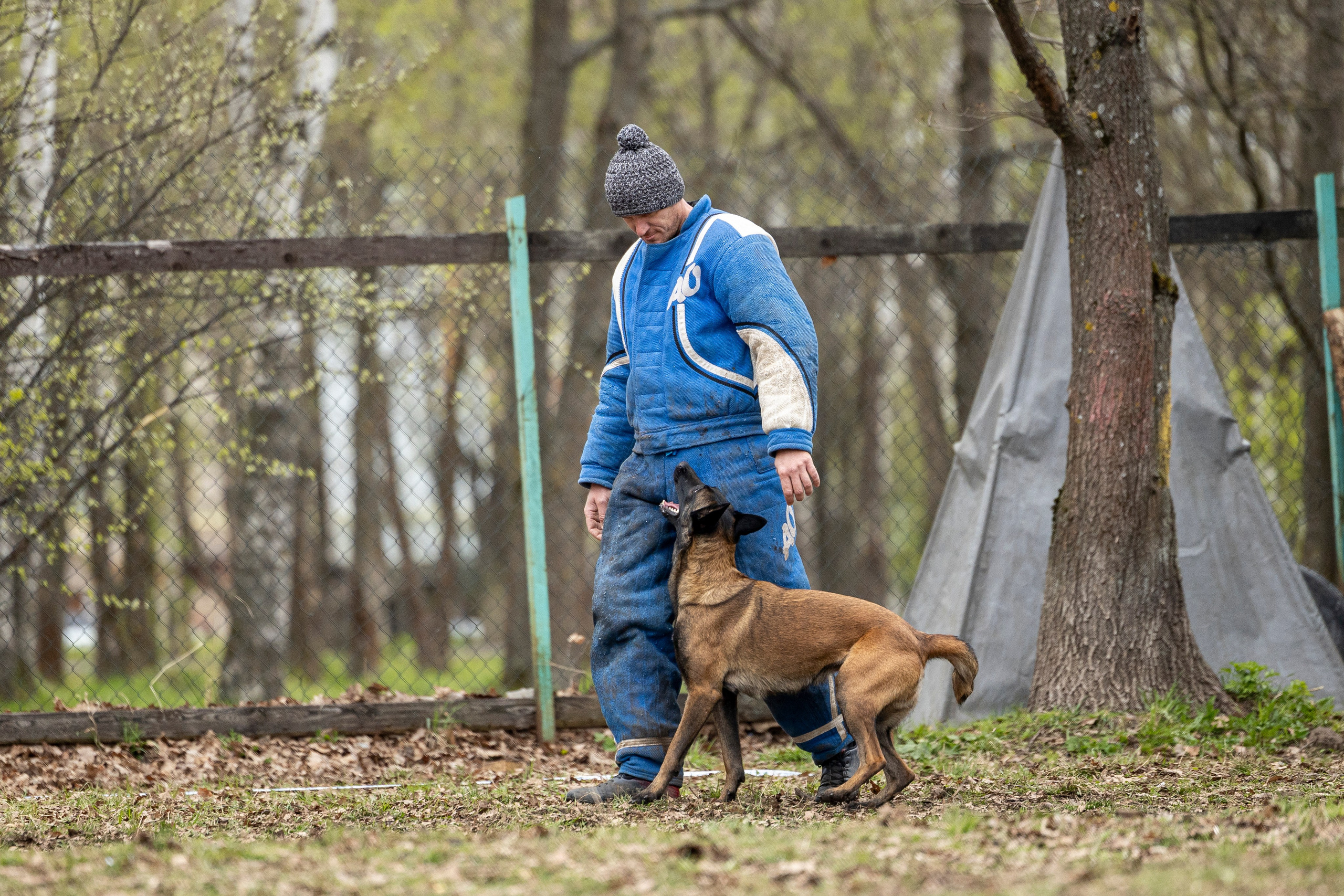 Квалификационные состязания по мондьорингу г. Вологда 11.05.24. Фотограф-анималист Анна Маринич