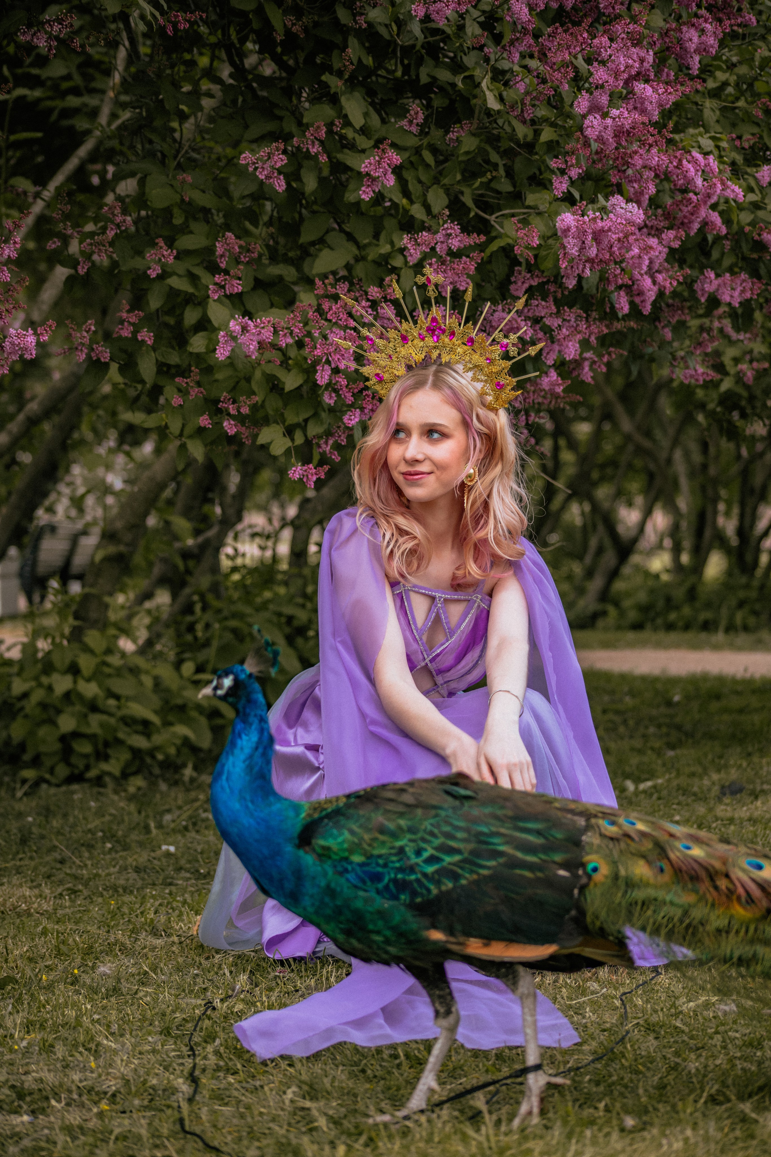 Павлин. Elena Sova — семейный и женский фотограф в Санкт-Петербурге