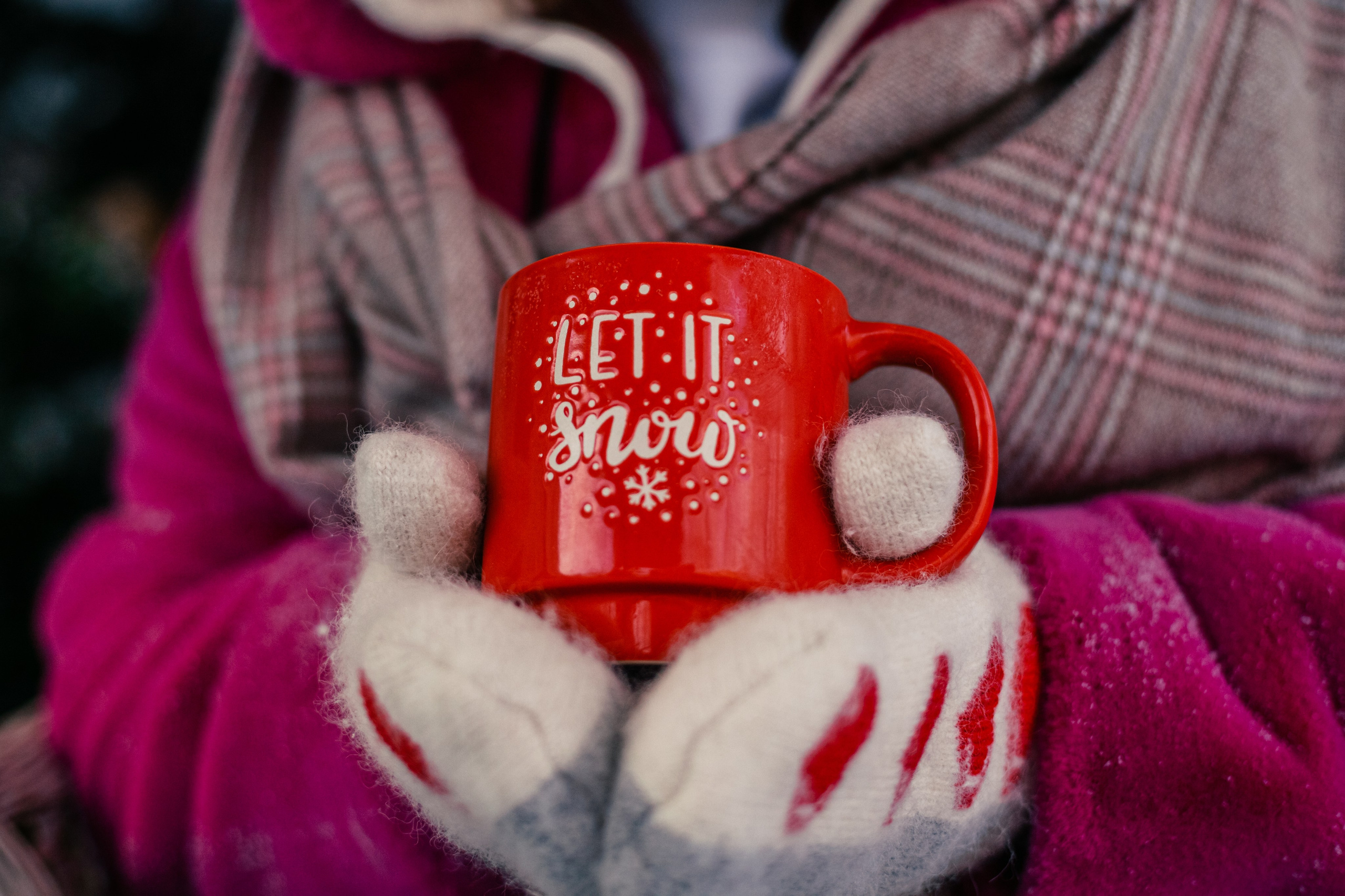 Зингер дача. Фотограф-анималист Татьяна Степанова