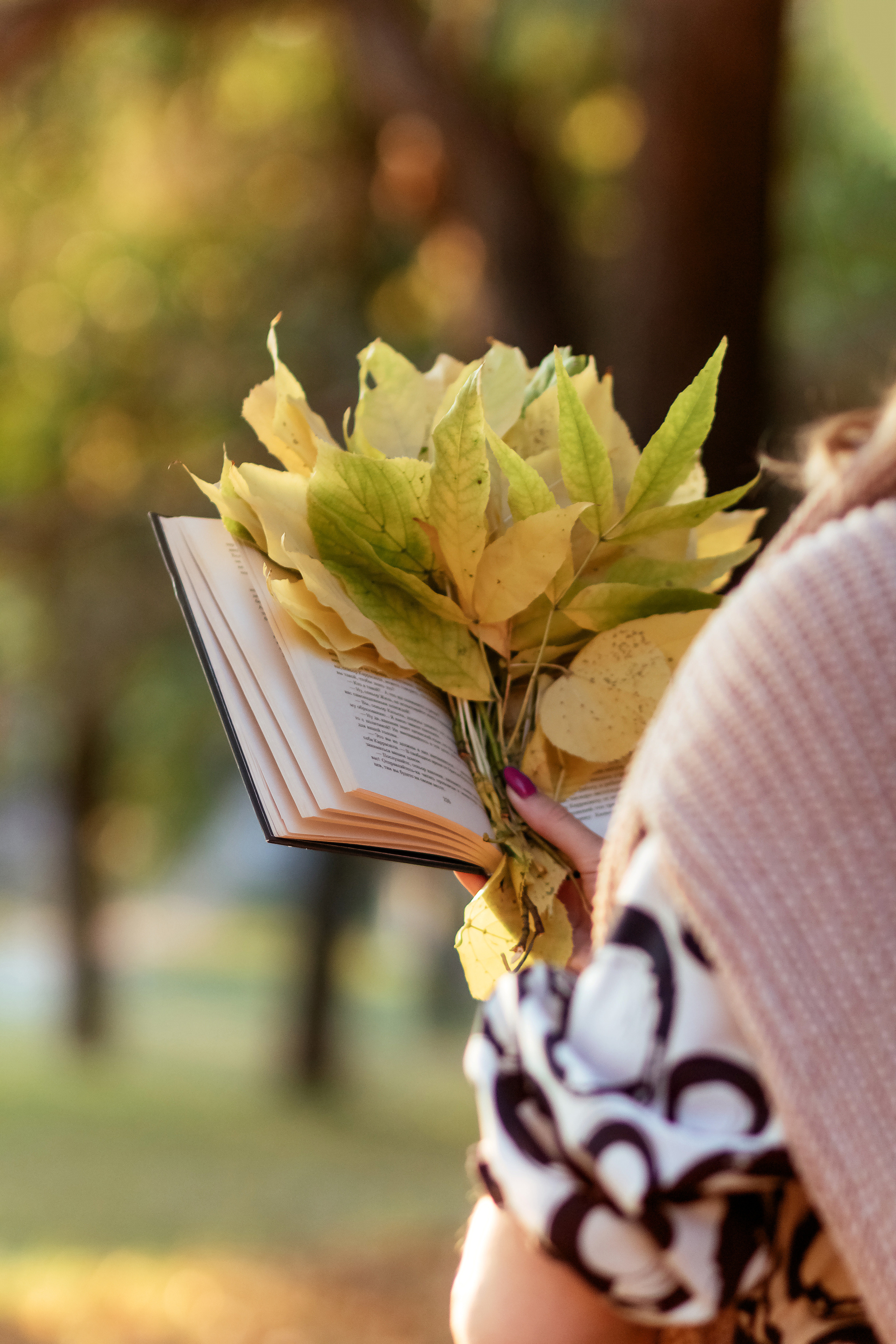 Свидание с осенью. Семейный фотограф в Минске Приболовец Светлана