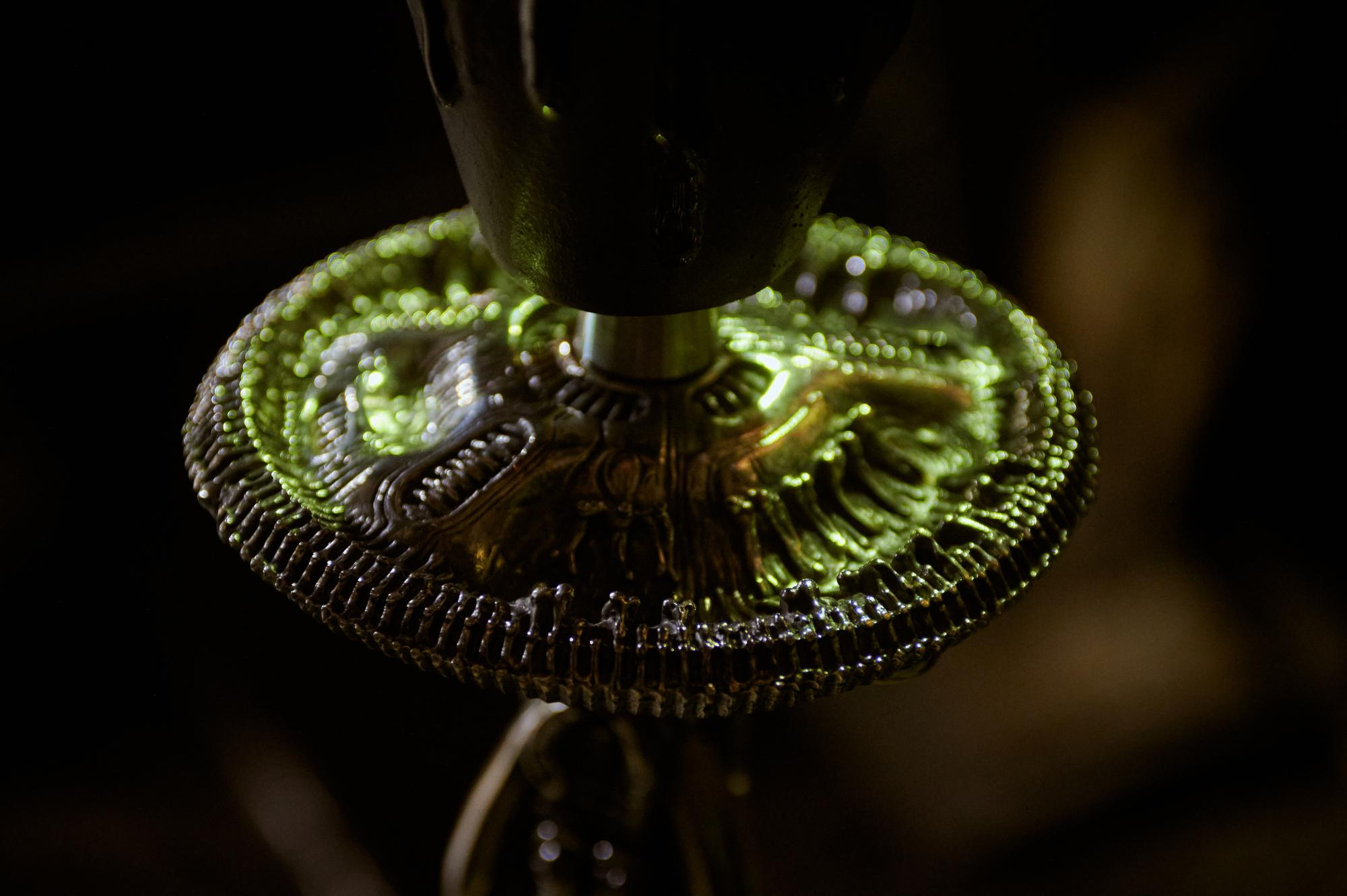 Maklaud. Мезенцев Евгений фотограф