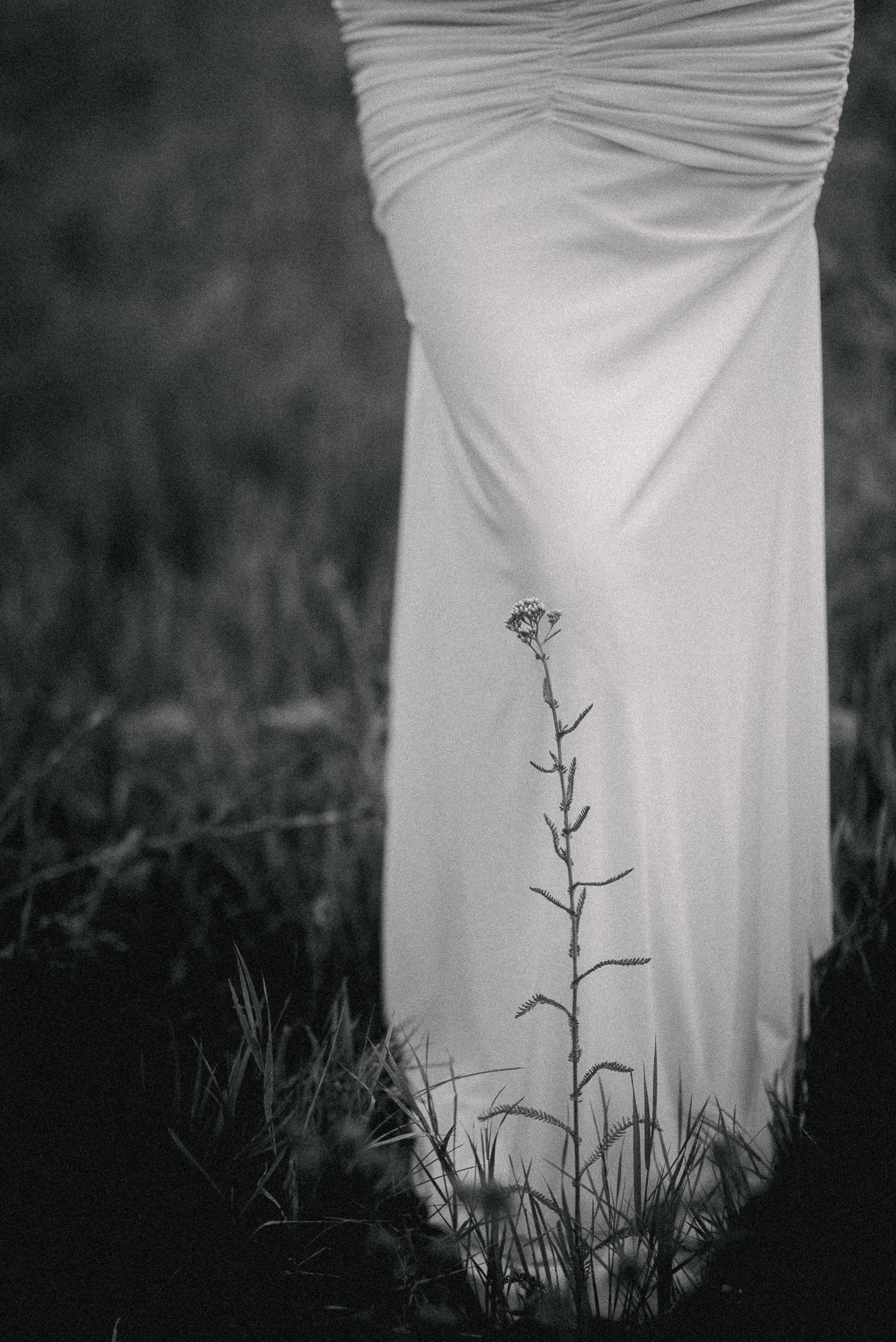 Никита и Жастина. Свадебный и семейный фотограф в Курске Николай Бусел