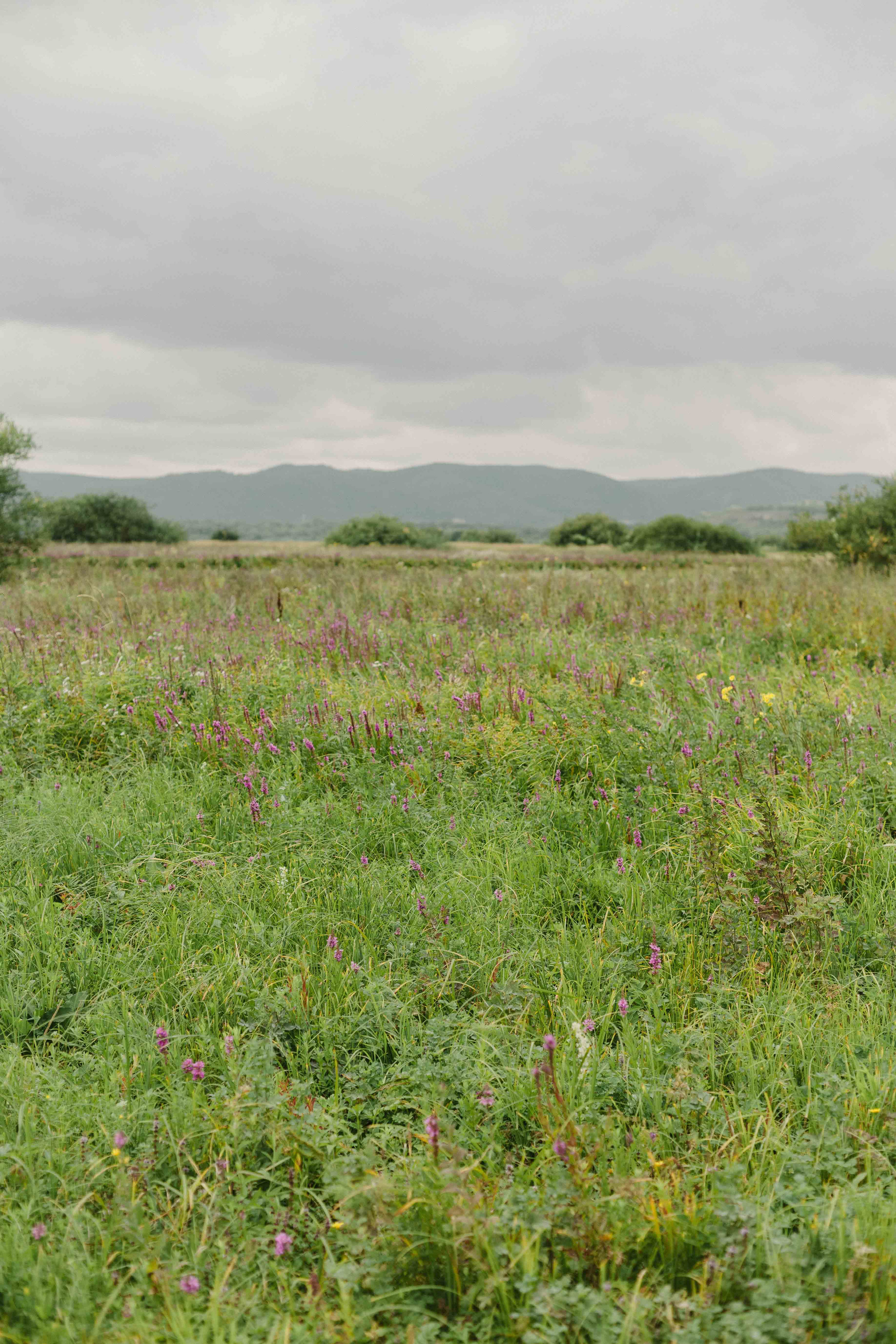 Андрей и Анастасия. Свадебный и семейный фотограф в Самаре Катя Боб