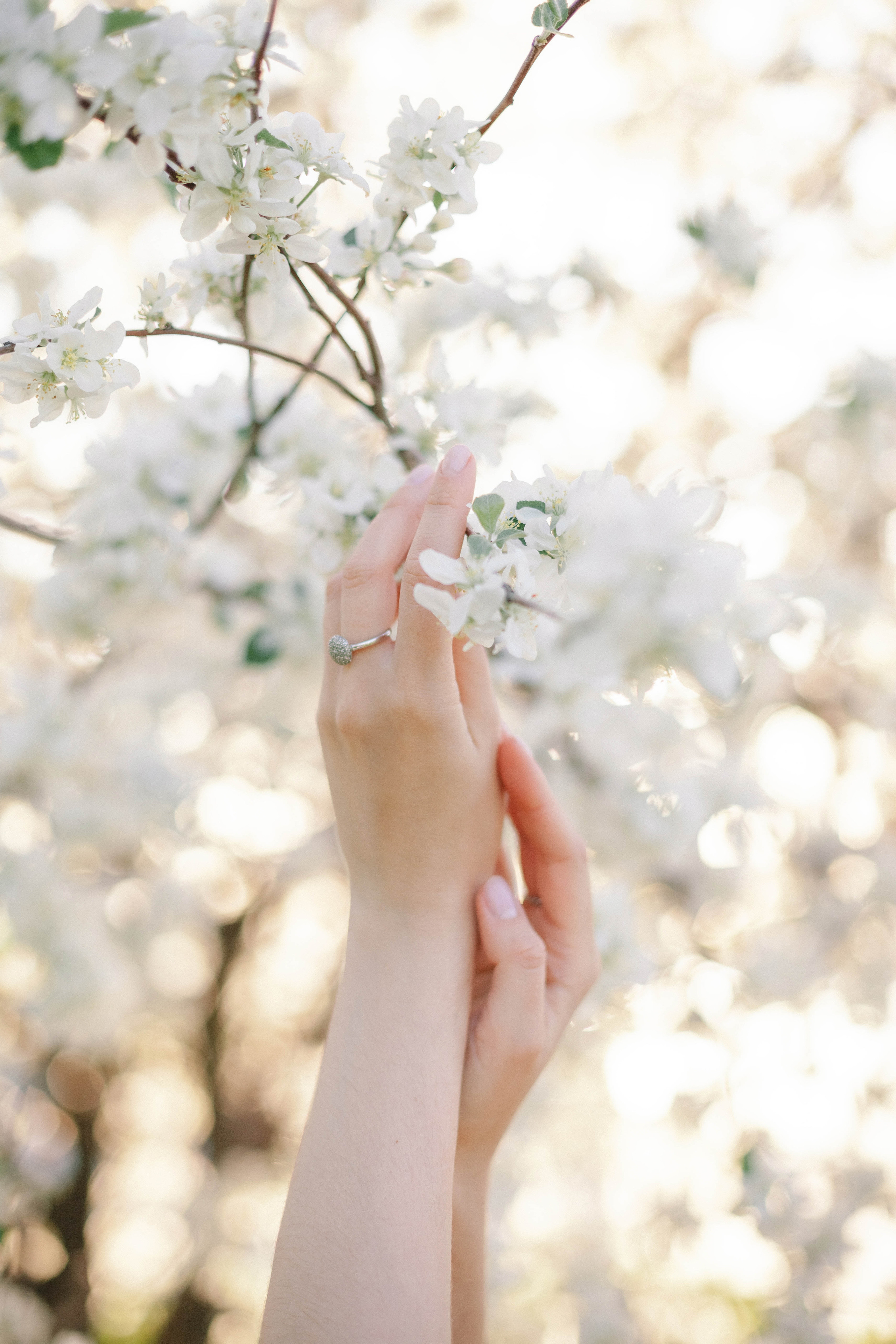 Диана. Свадебный и семейный фотограф в Самаре Катя Боб