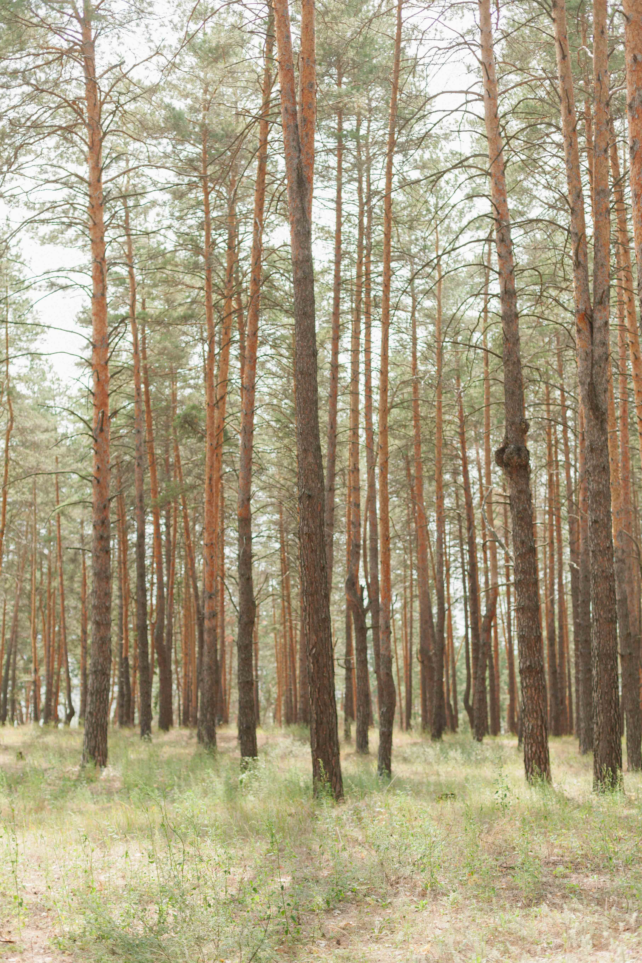 Андрей и Анастасия. Свадебный и семейный фотограф в Самаре Катя Боб