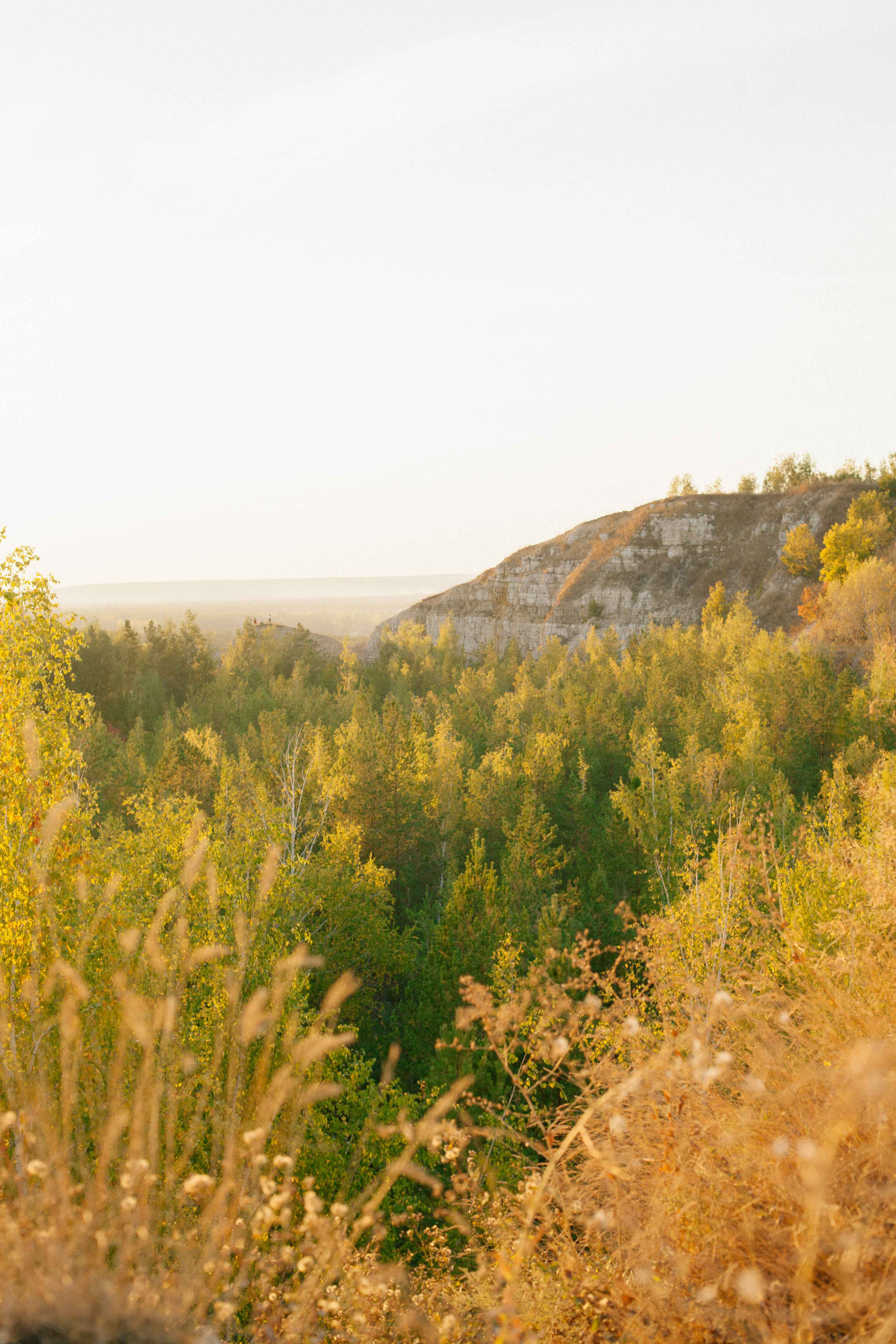 Дмитрий и Алёна. Свадебный и семейный фотограф в Самаре Катя Боб