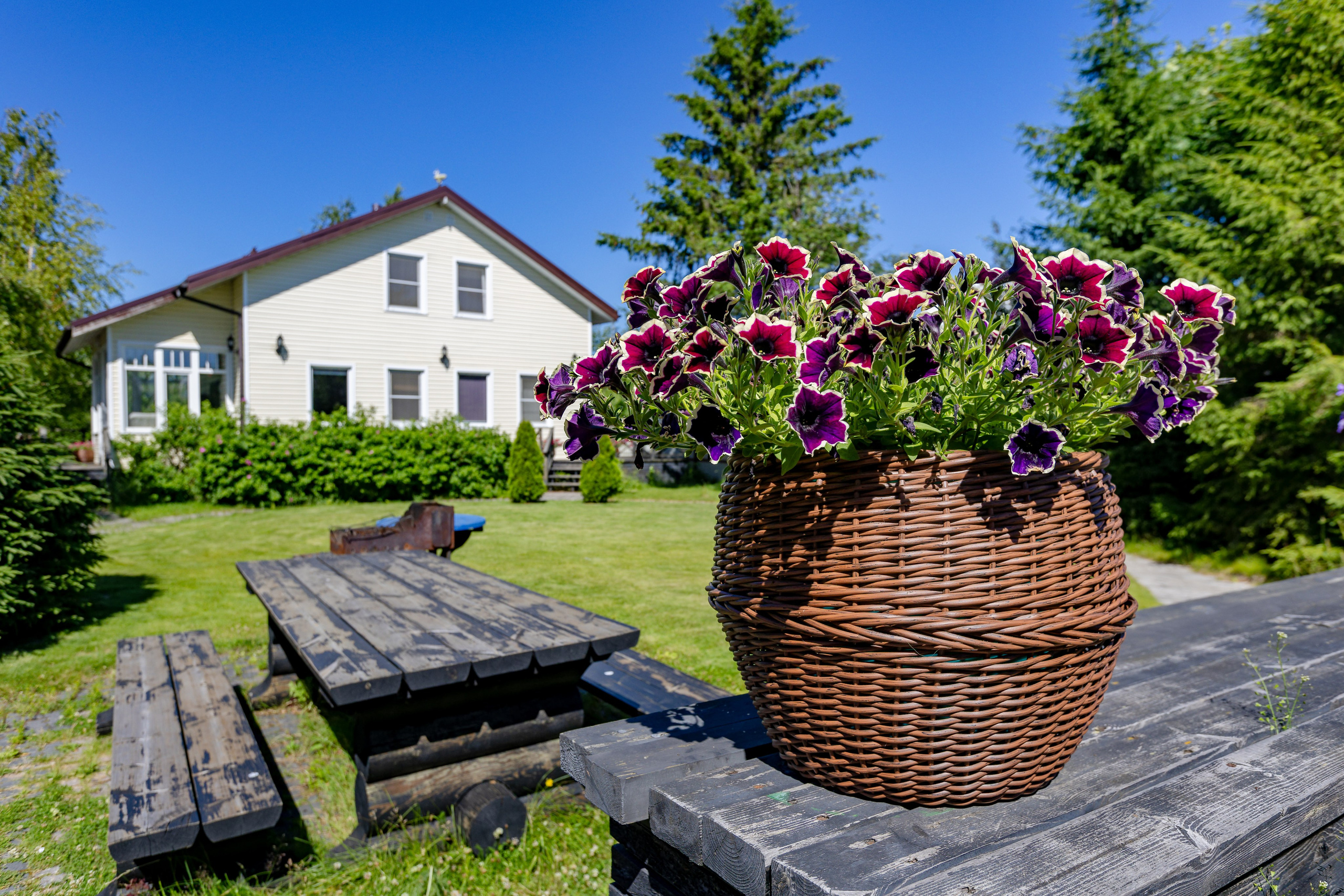 Гостевые дома «Уксунлахти» (деревня Ууксу). Аэросъемка. Фото и Видео в Карелии. Алексей Фрилунд