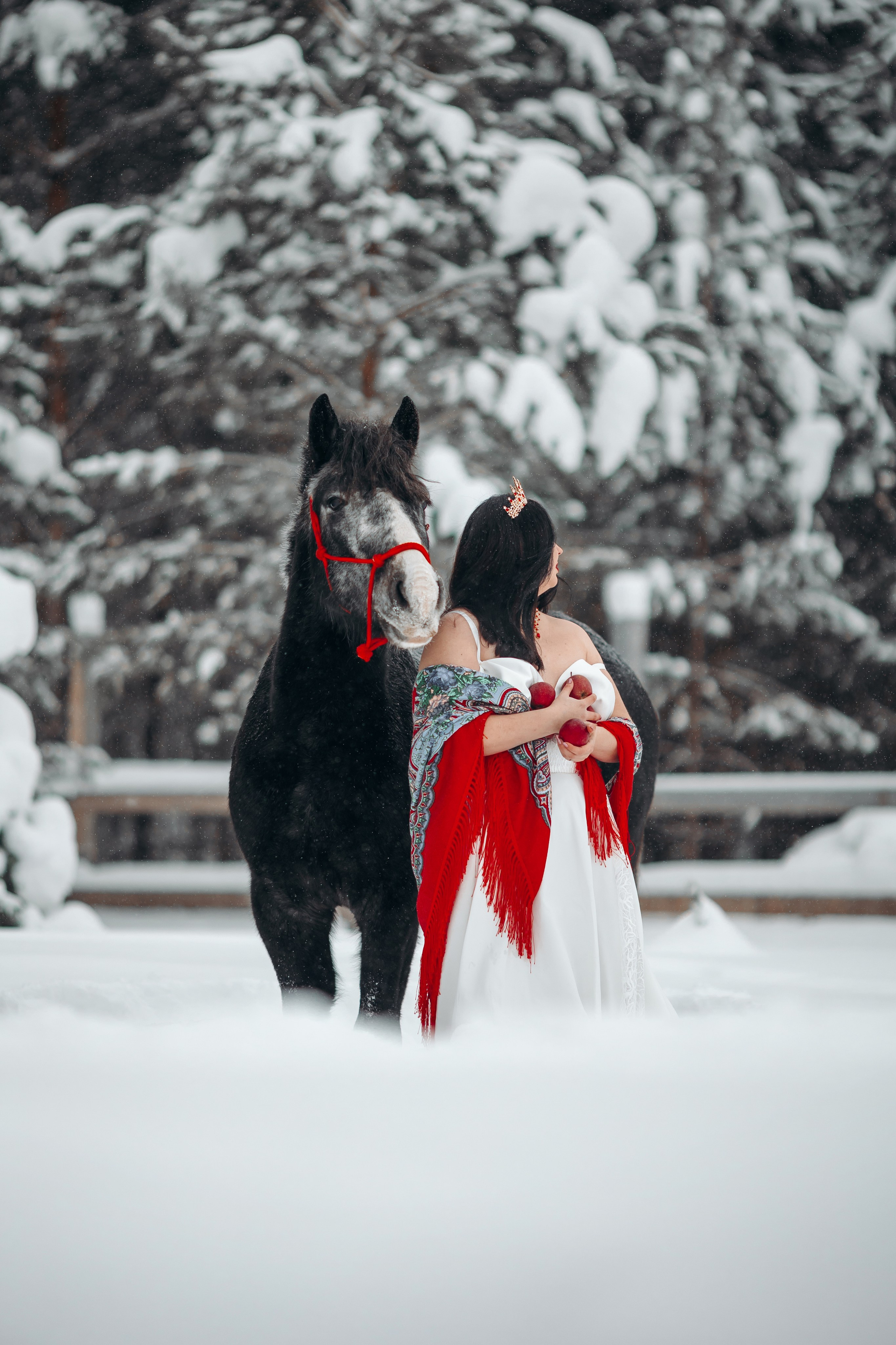 Яблоки на снегу. Анна Молчанова конный фотограф в Тюмени | фотосессии с лошадьми Тюмень